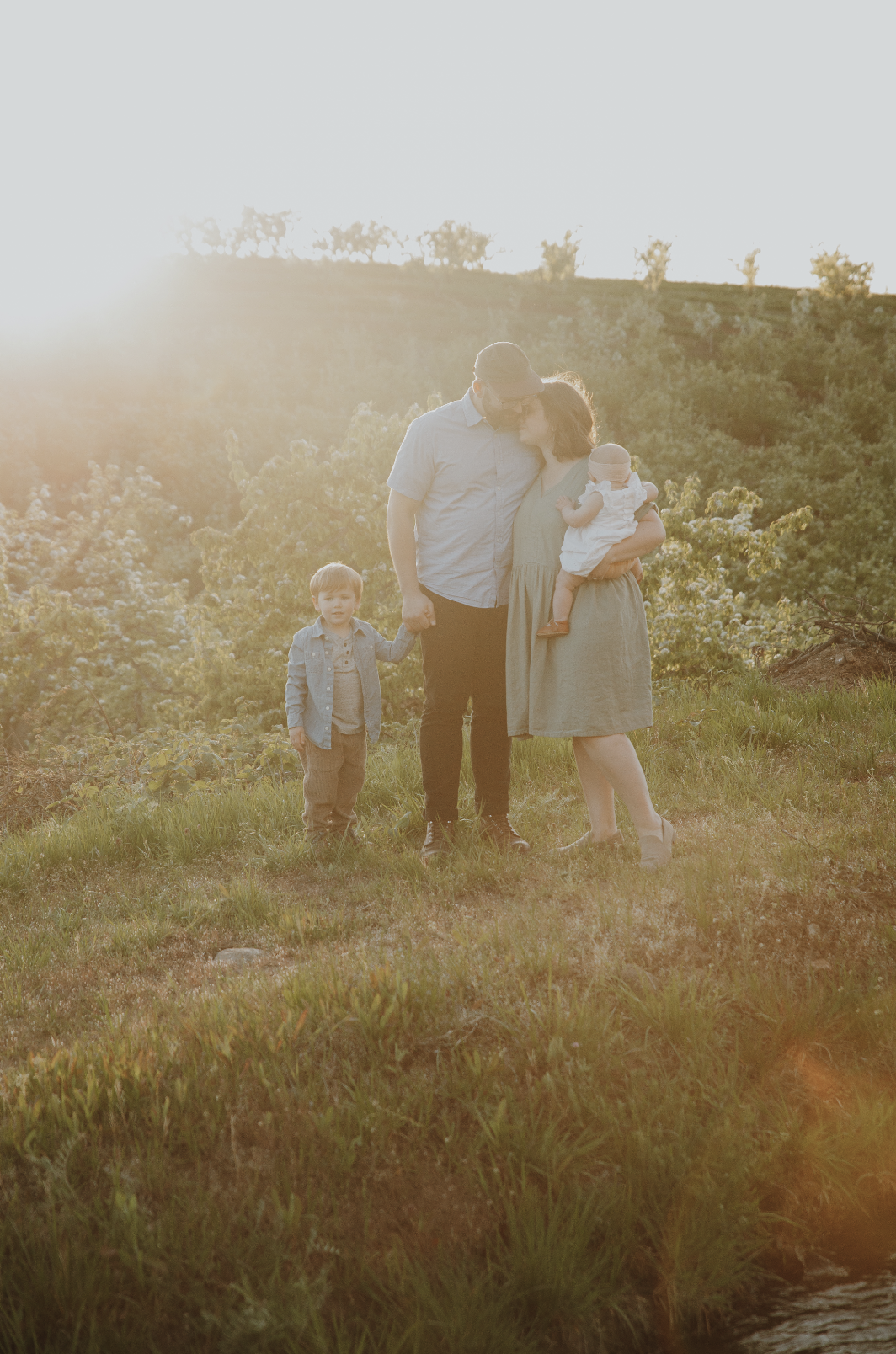 Screen Shot 2024-06-14 at 12.19.26 PM.png