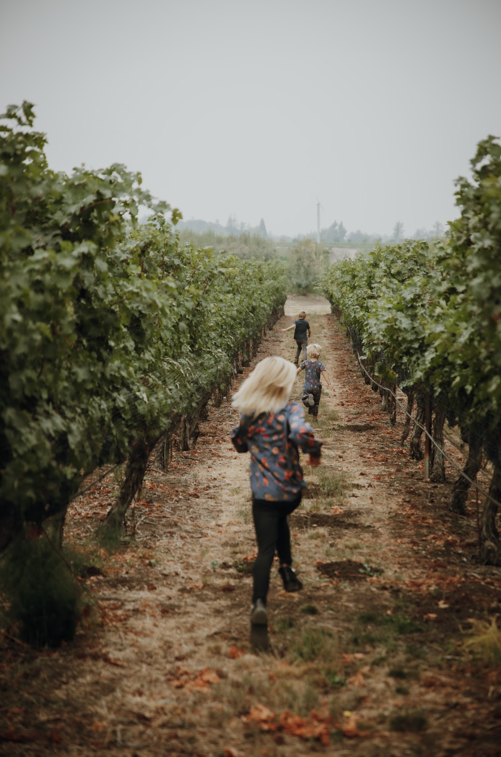 Screen Shot 2024-06-21 at 1.38.37 AM.png