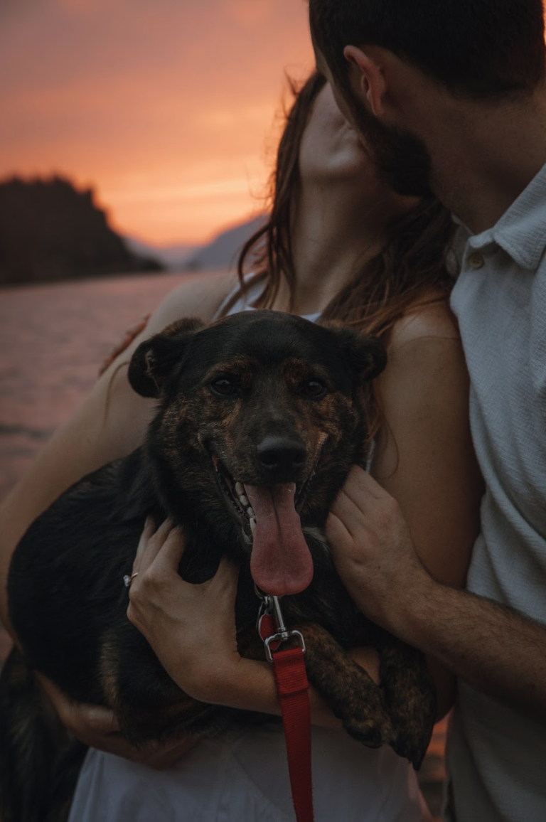 Screenshot 2025-12-11 at 7.36.26 PM.png