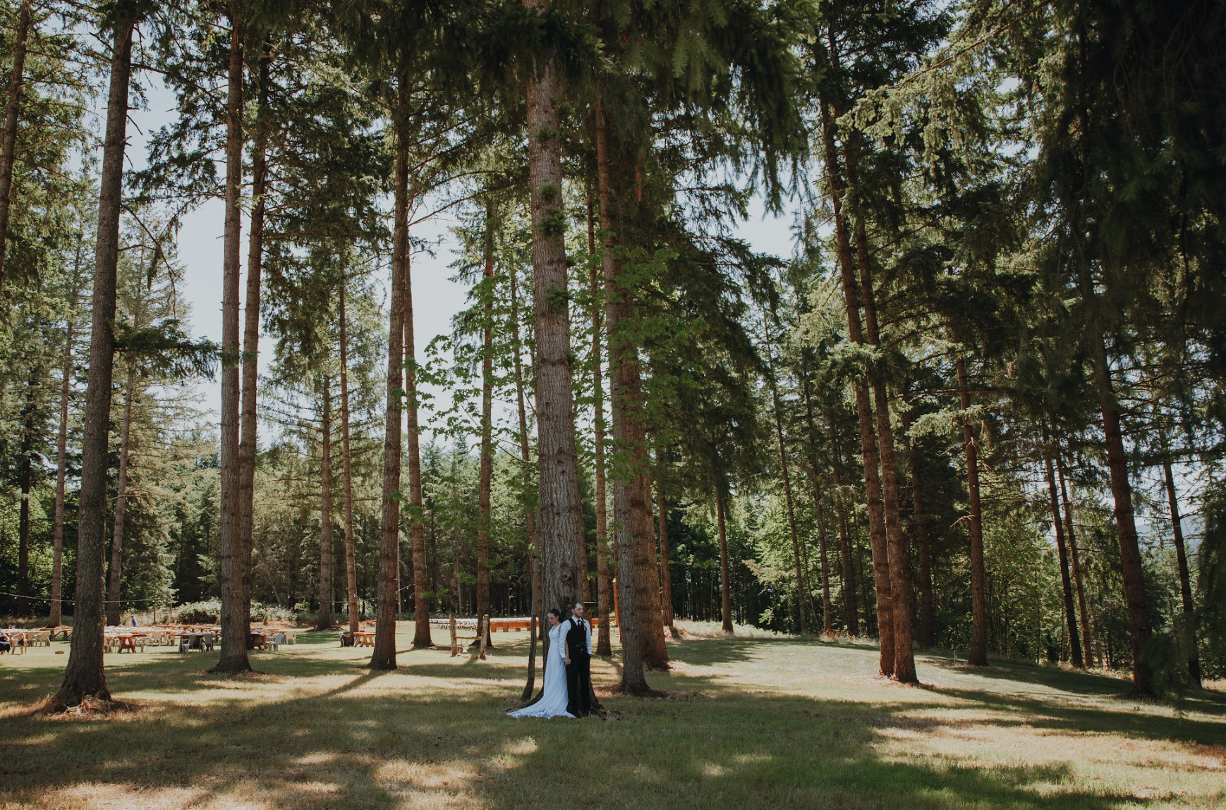 Screenshot 2025-12-11 at 7.52.08 PM.png