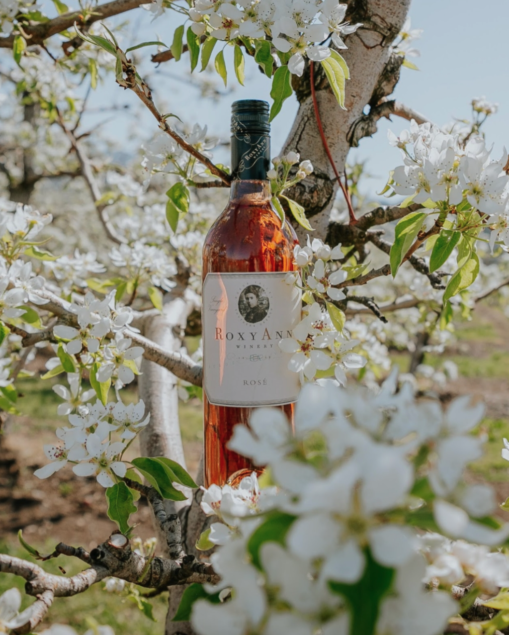 Screenshot 2025-12-11 at 7.23.05 PM.png