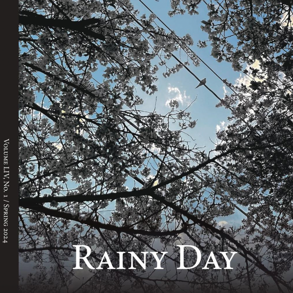 there's a robot on my doorstep asking for my hand | An original poem published on the 15th page of the Spring 2024 Edition of Cornell University's Literary Magazine, "Rainy Day".