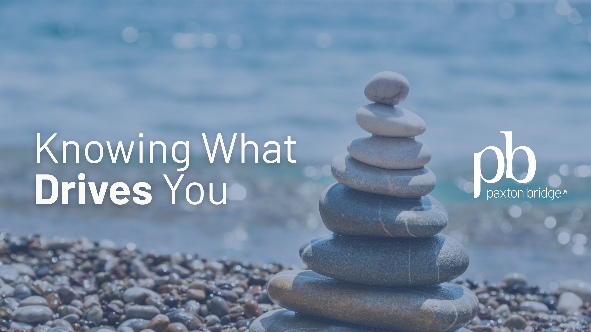 Starting Insight: Know What Drives You