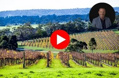 Feel like taking a year off?