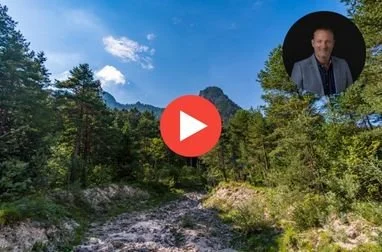 What are you focused on?