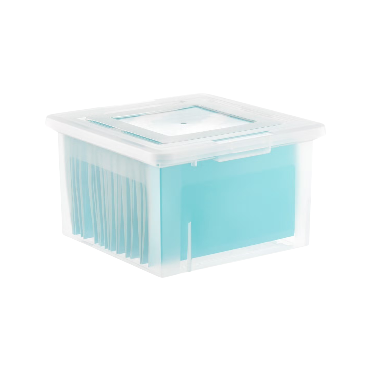 A plastic storage container with a transparent lid and light blue file dividers inside.