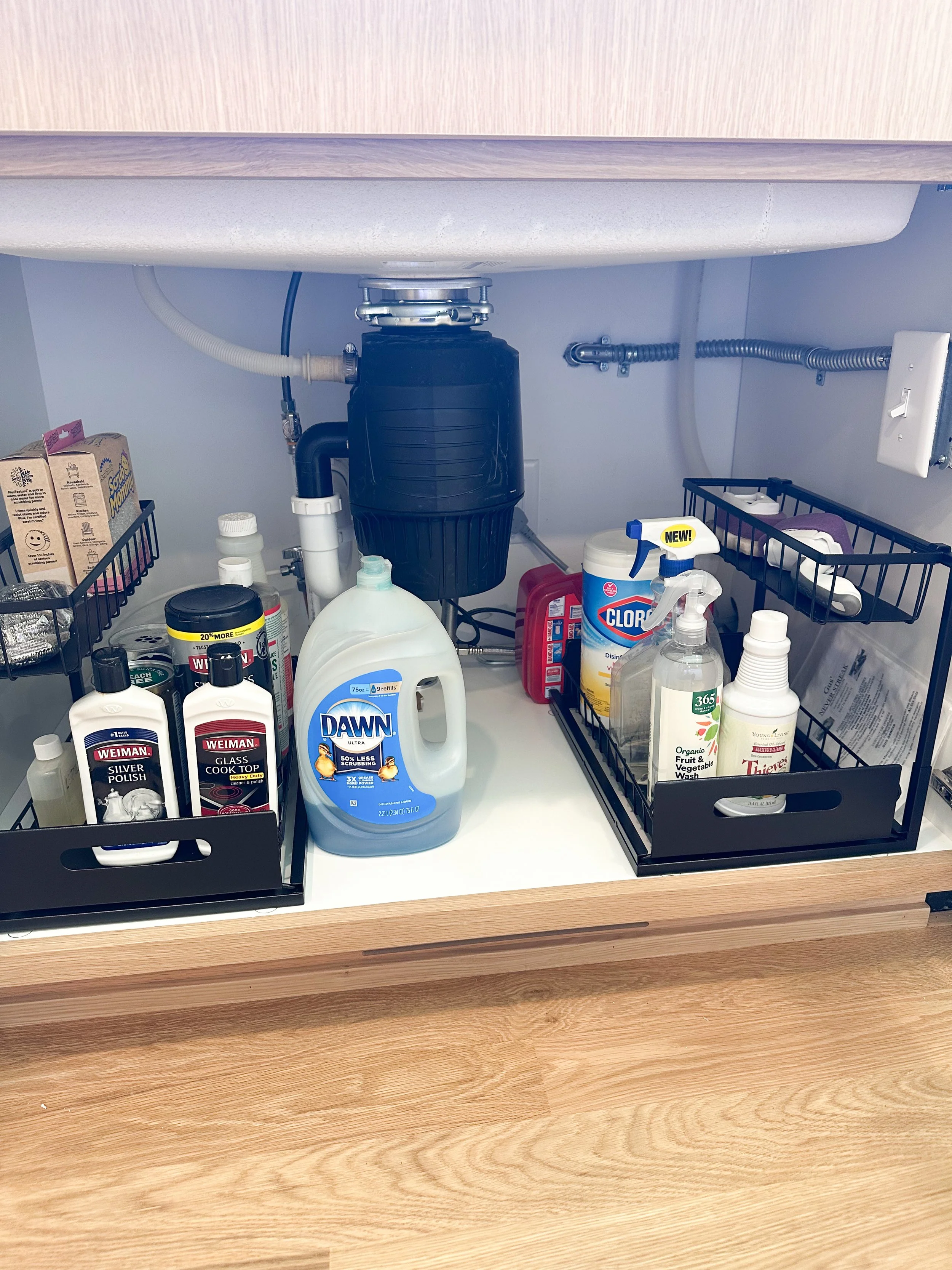 Kitchen sink cabinet with cleaning supplies and dishwasher drain filter