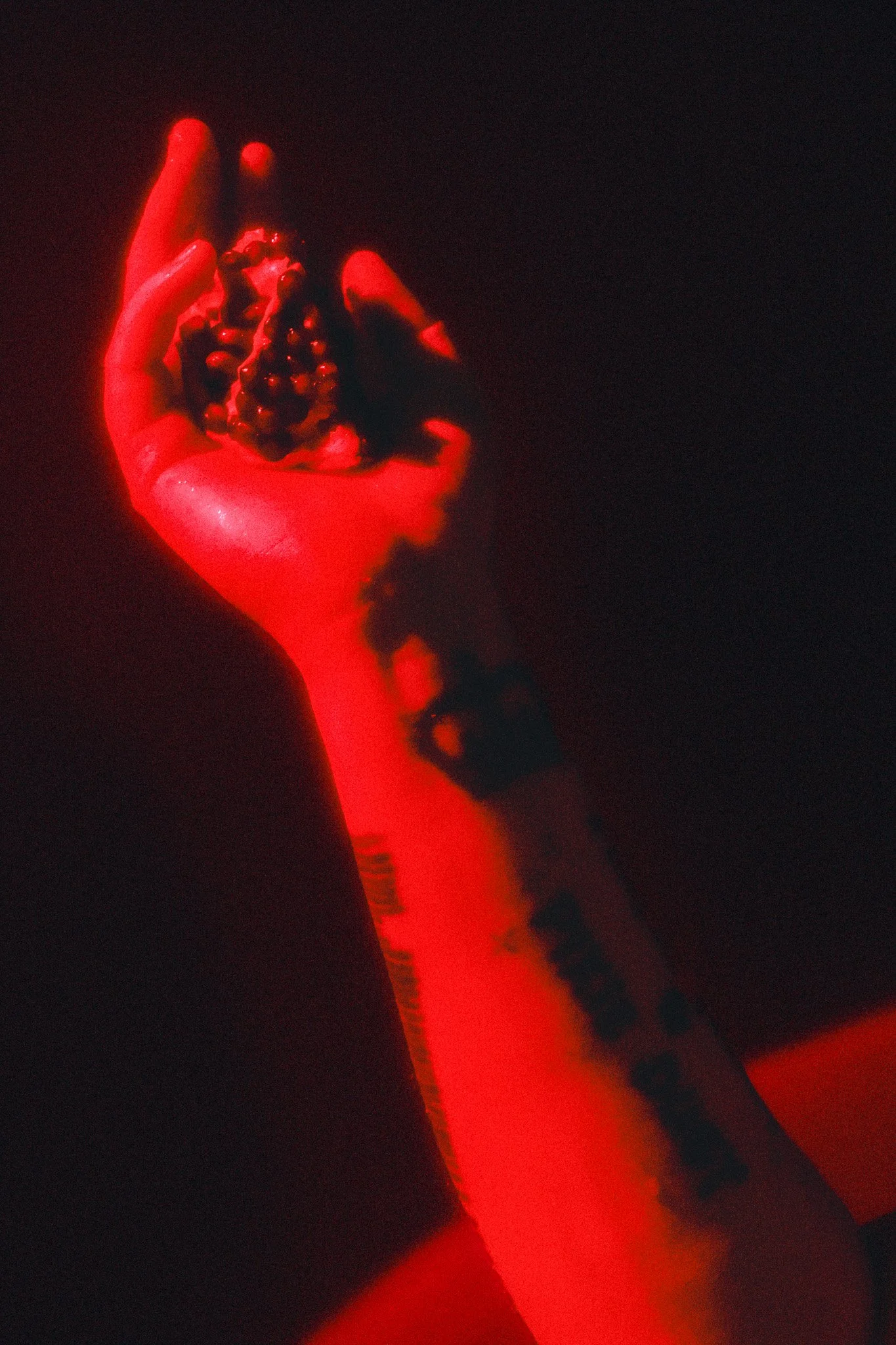 DSCF3102.jpg