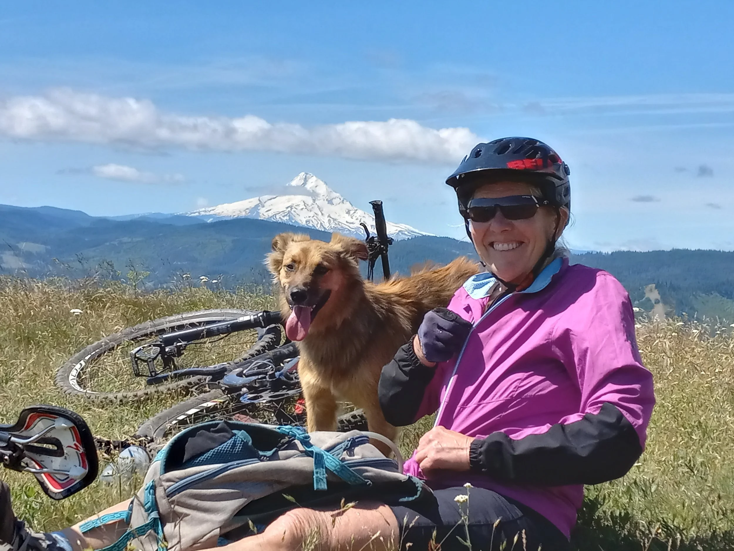 Woman in pink and black cycling gear with a dog, mountain with snow, and bicycles in a grassy field.