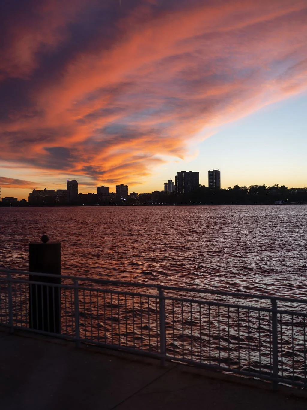 HFNY-FallBenefit2024-69 (2).jpg