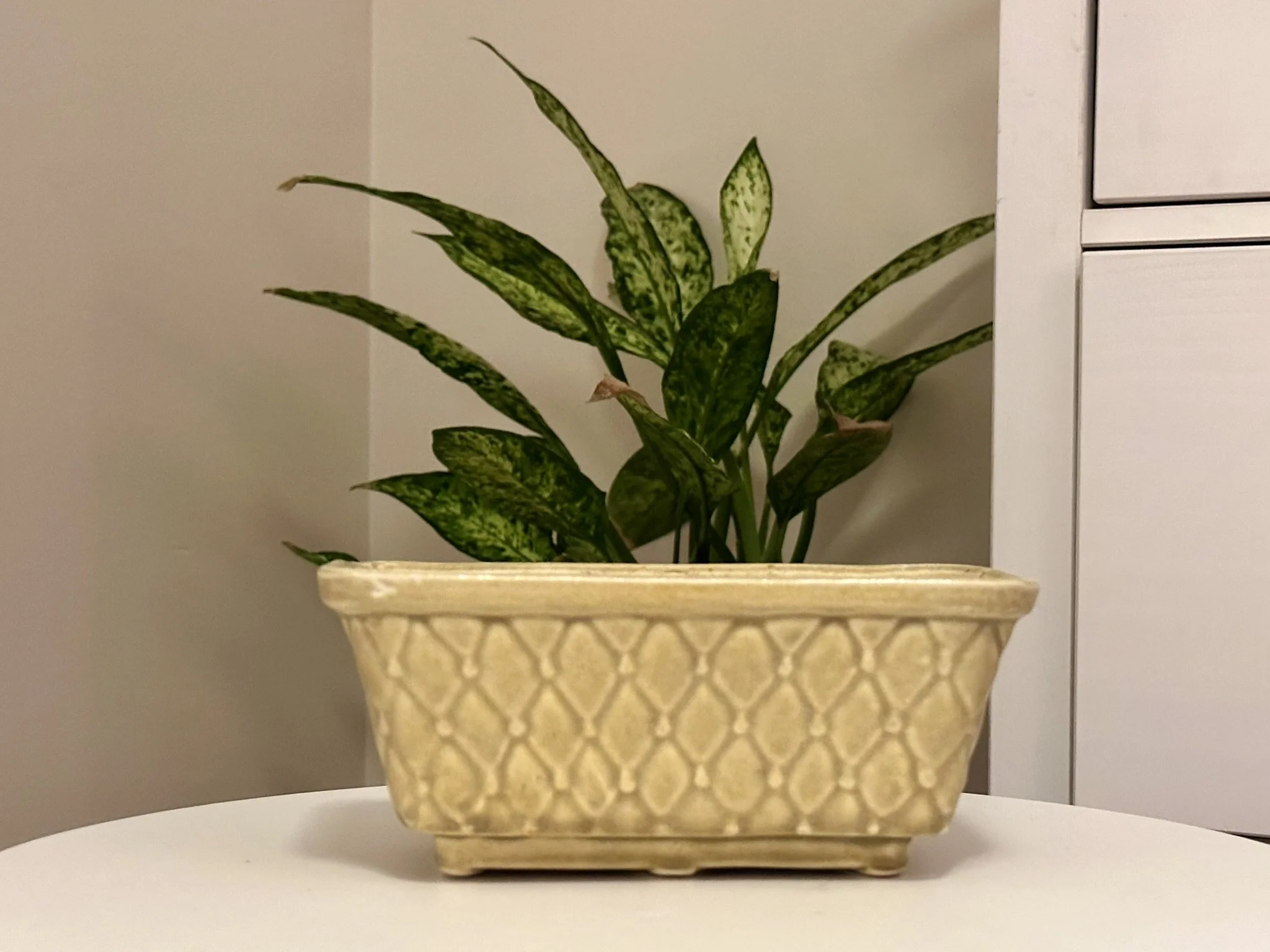 Mid-Century Modern Brush USA McCoy pottery planter