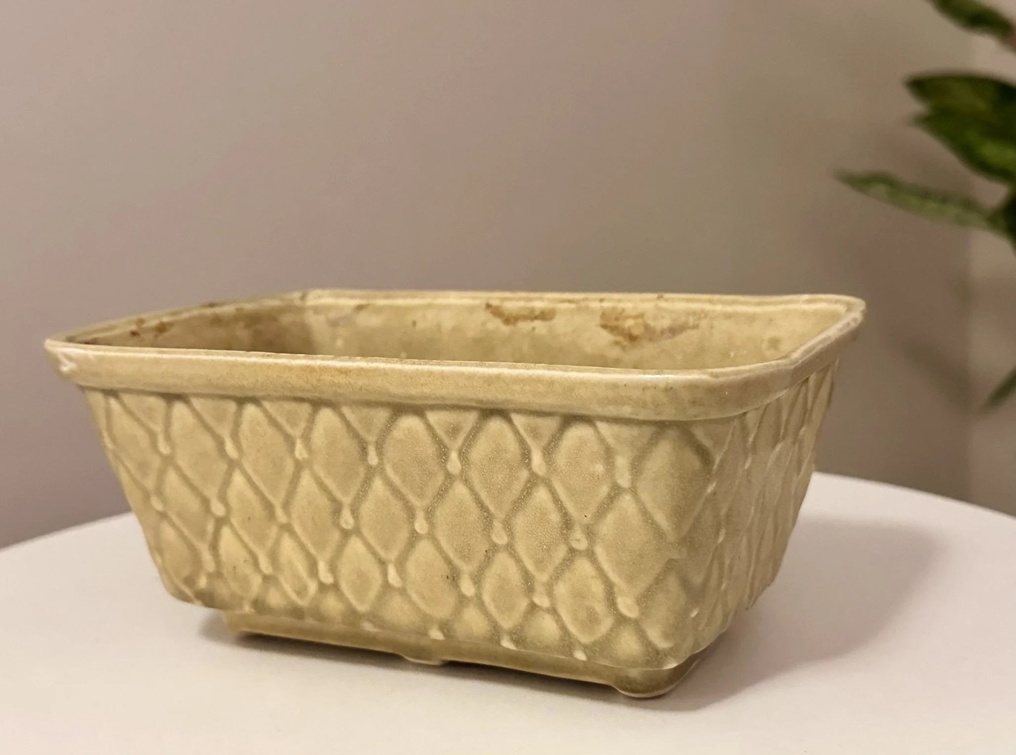 brush planter.JPEG