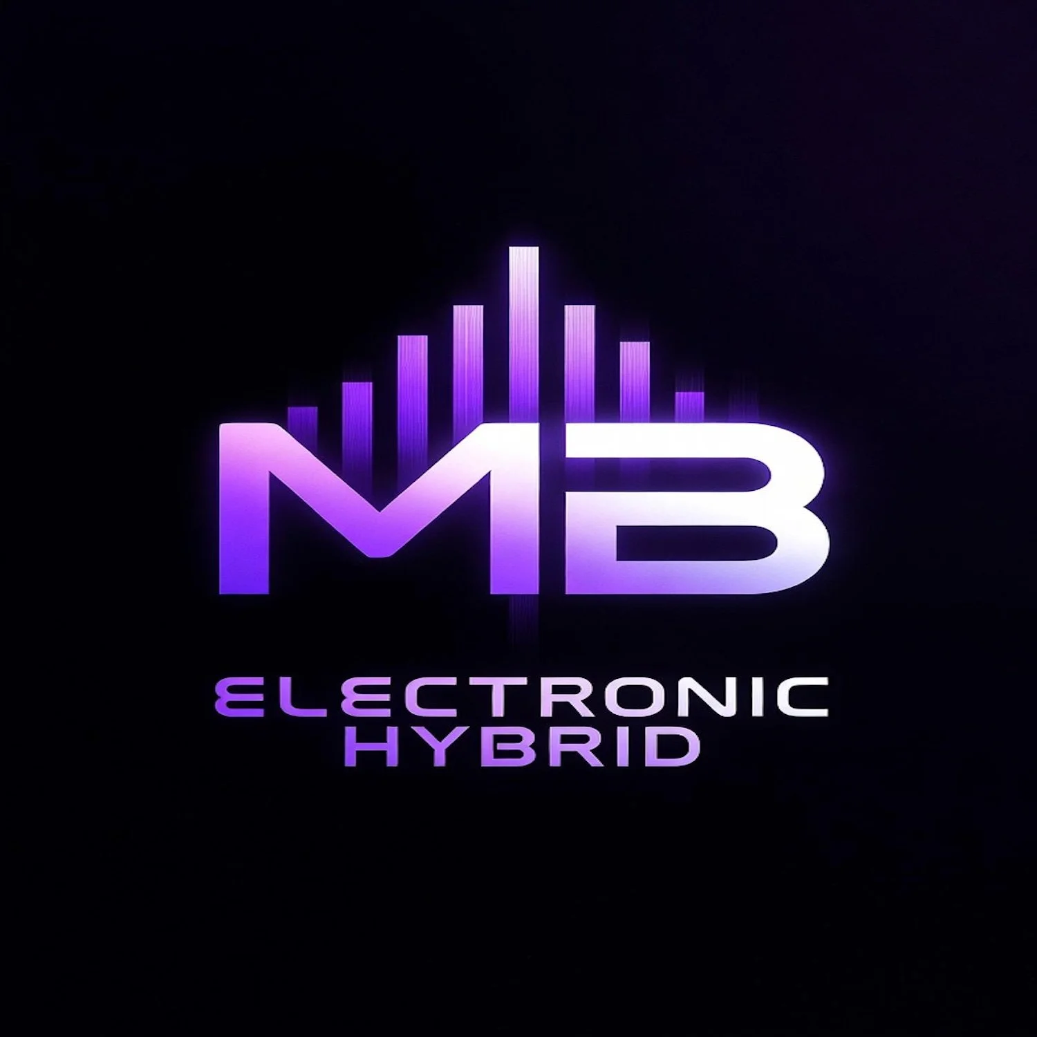 Electronic Hybrid_2.jpg