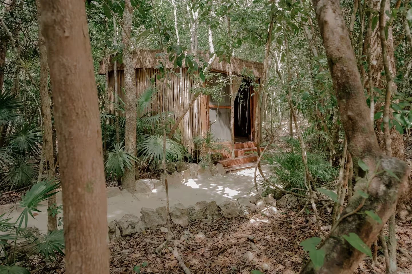 The Jungle Casa ~ King Suite (Only 1)