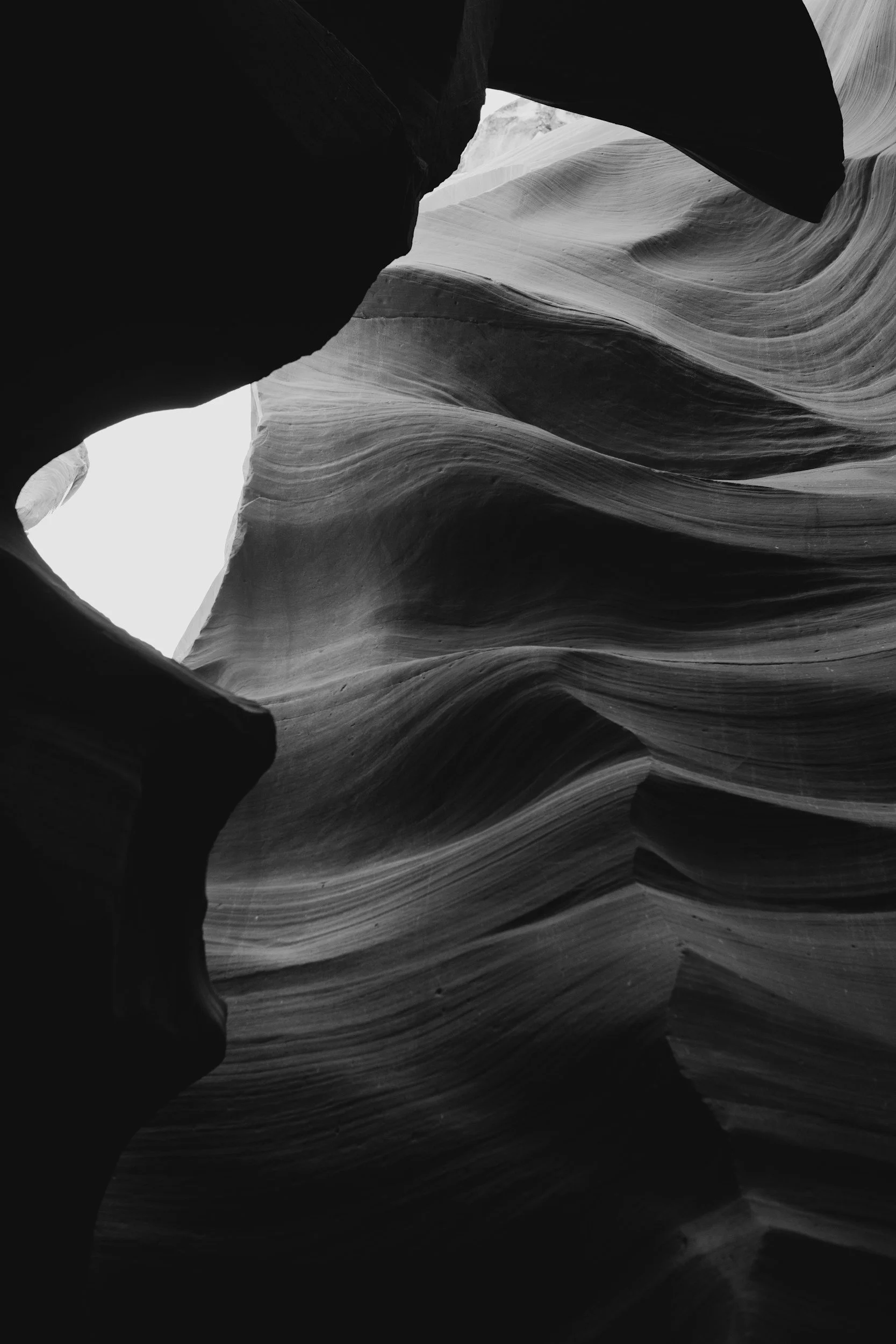 Black and white photograph of smooth, curving sandstone walls with layered textures inside a narrow slot canyon.