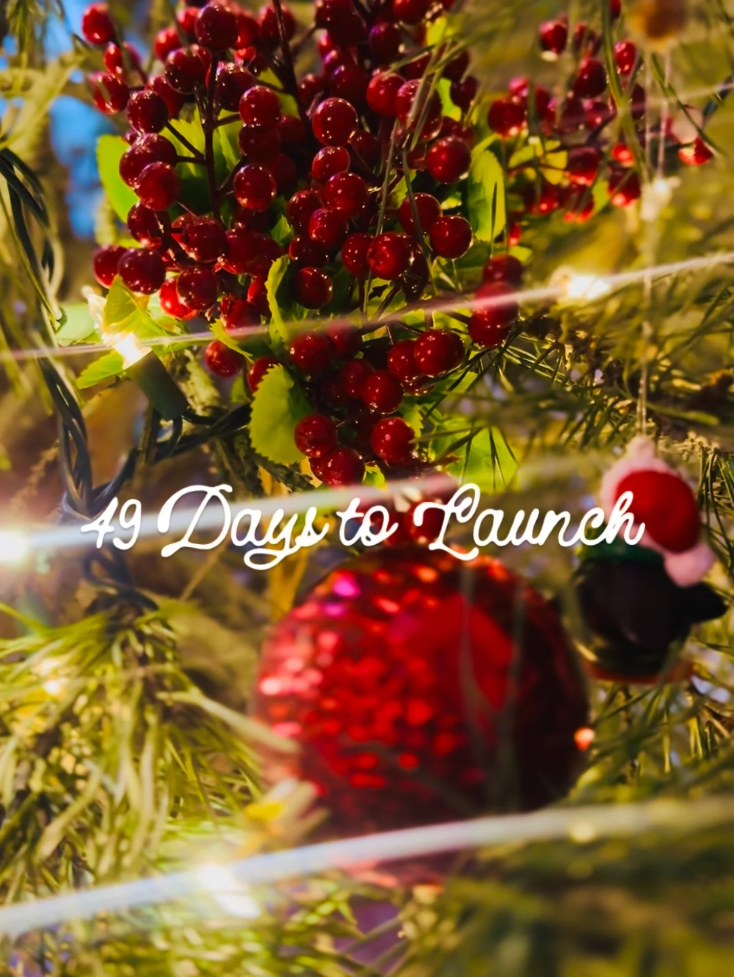 Close-up of red berries and green leaves on a Christmas tree with string lights and holiday decorations, with the text '49 Days to Launch' overlaid.