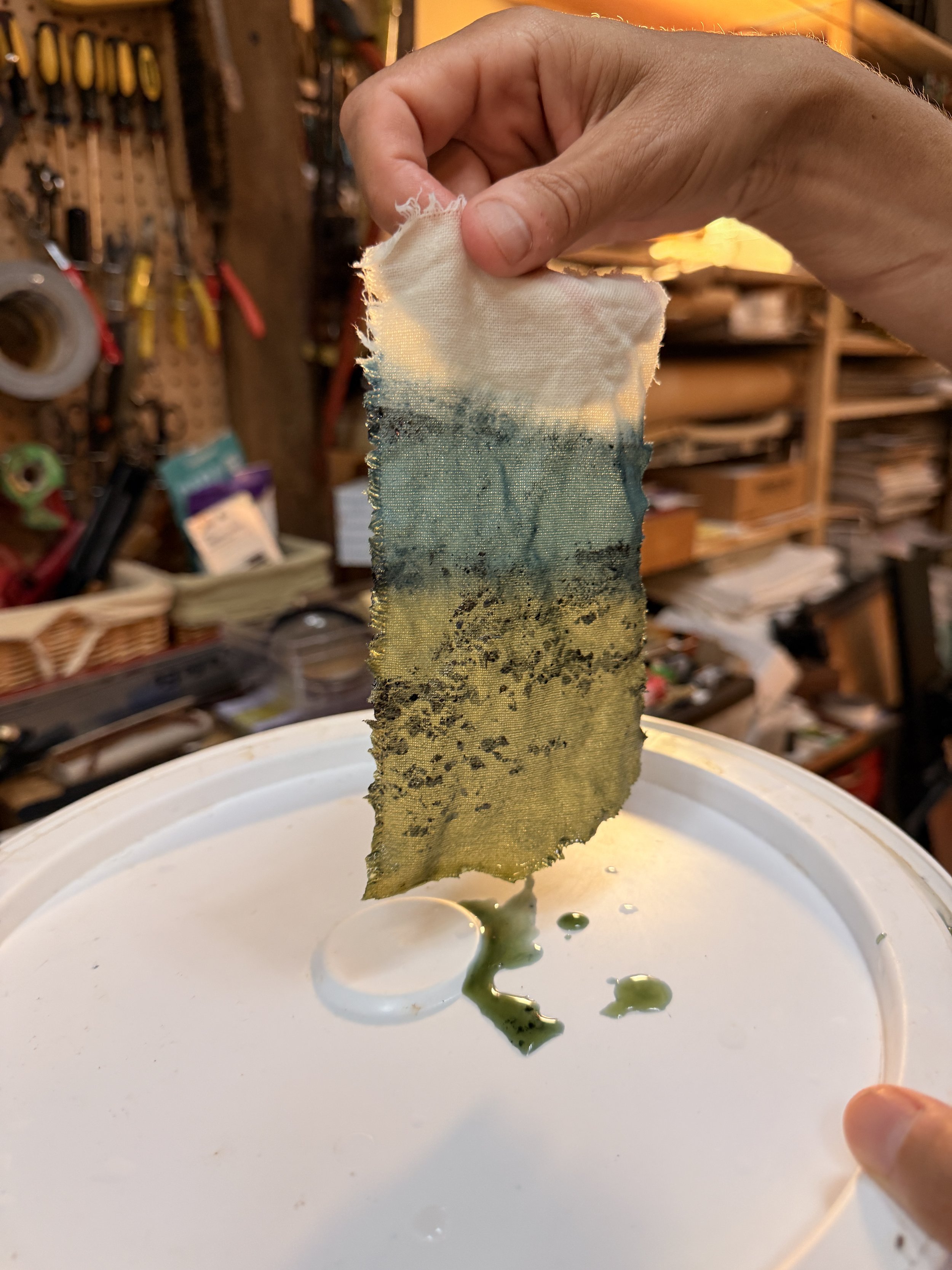 White strip of fabric dipped in indigo, twice.  The first dip has oxidized and the fabric is blue, the second dip is still fresh and green colored.