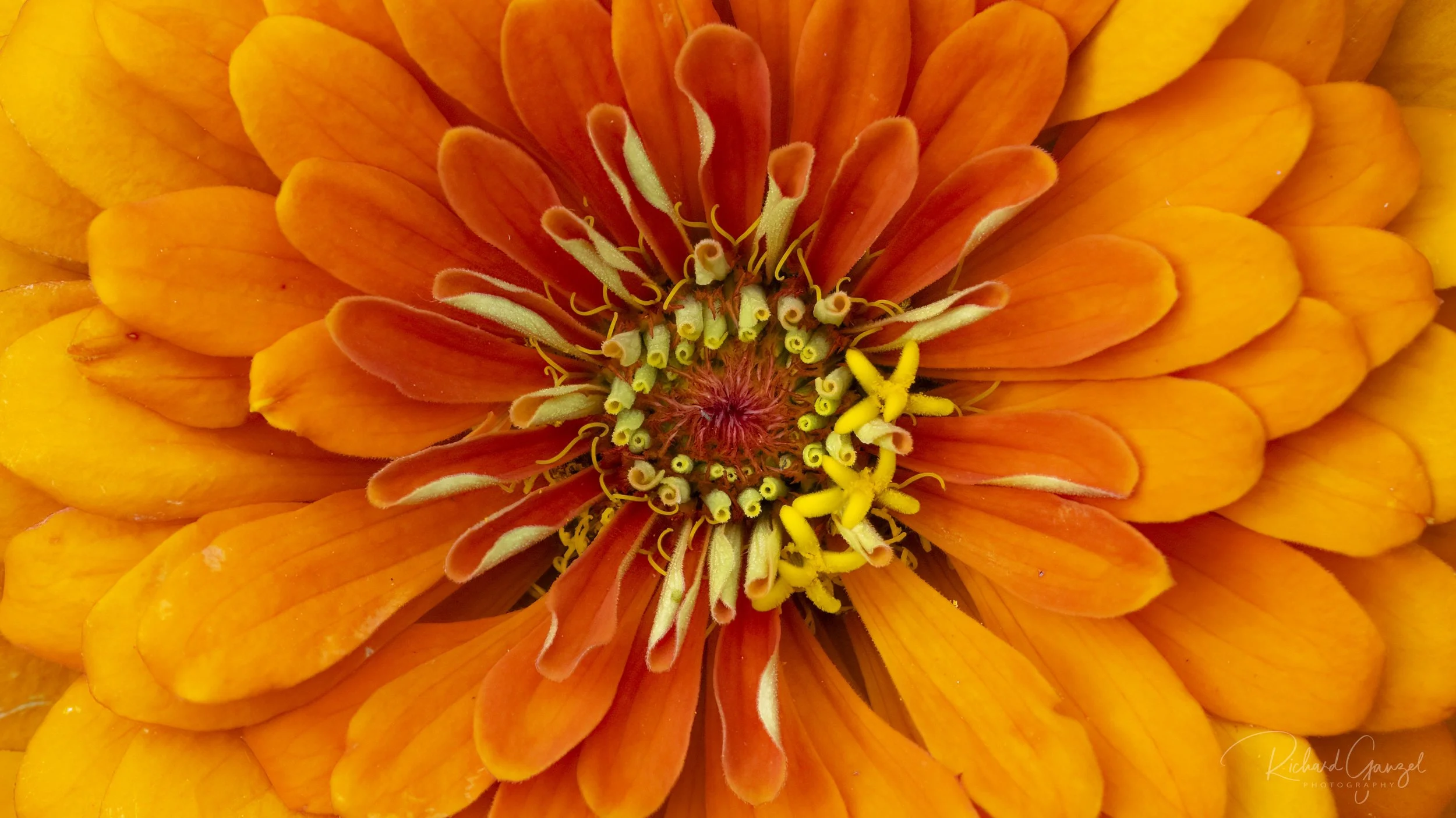 P7012691-Edit.jpg