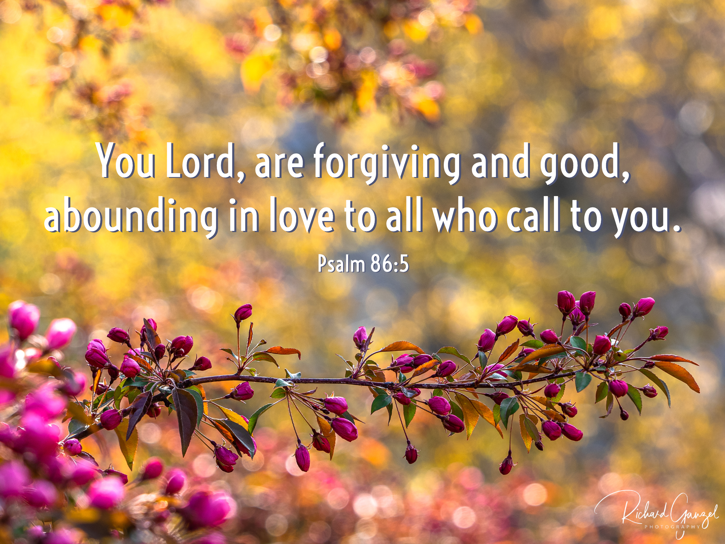 Abounding In Love