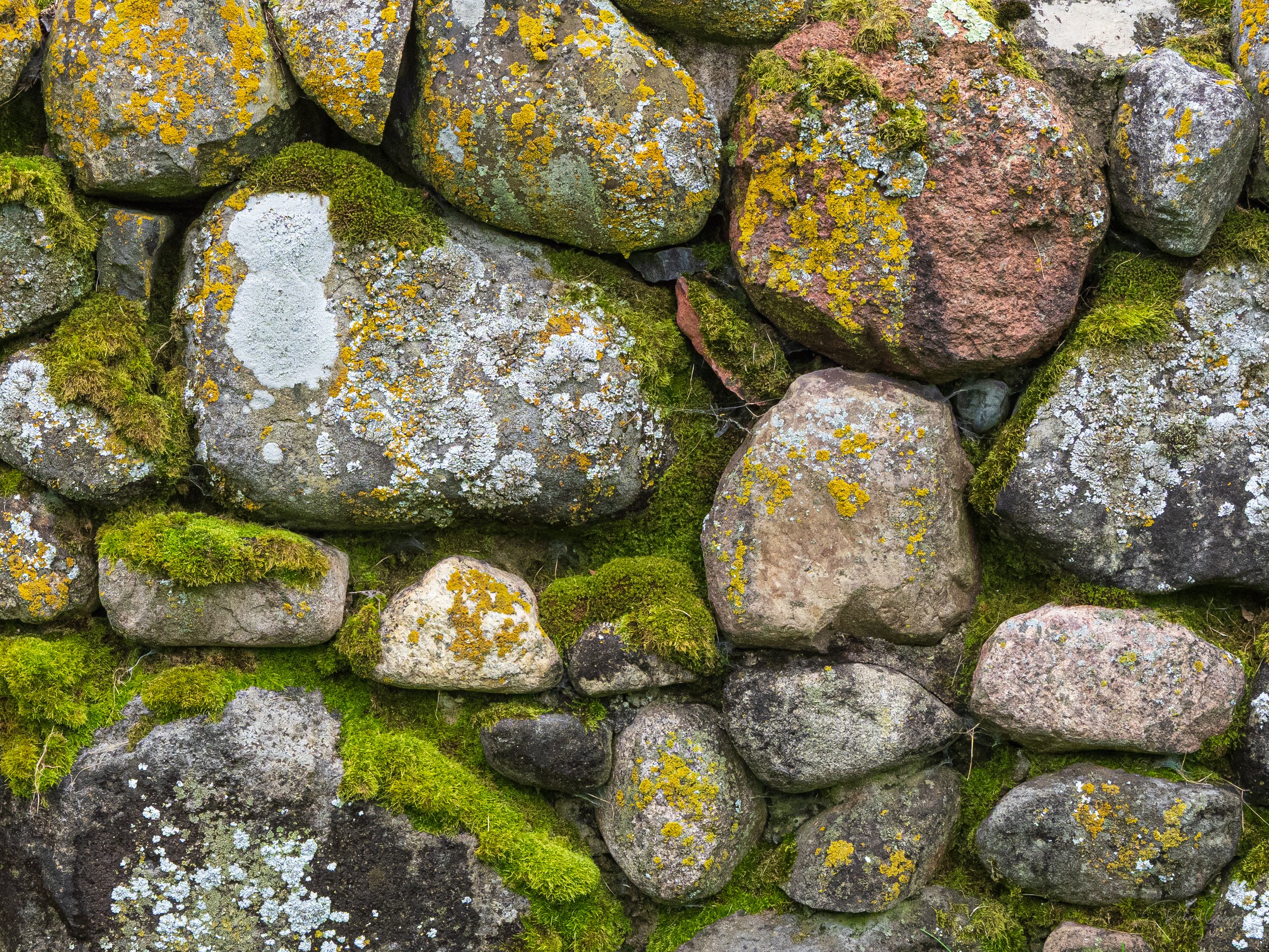 Mossy Rock Wall