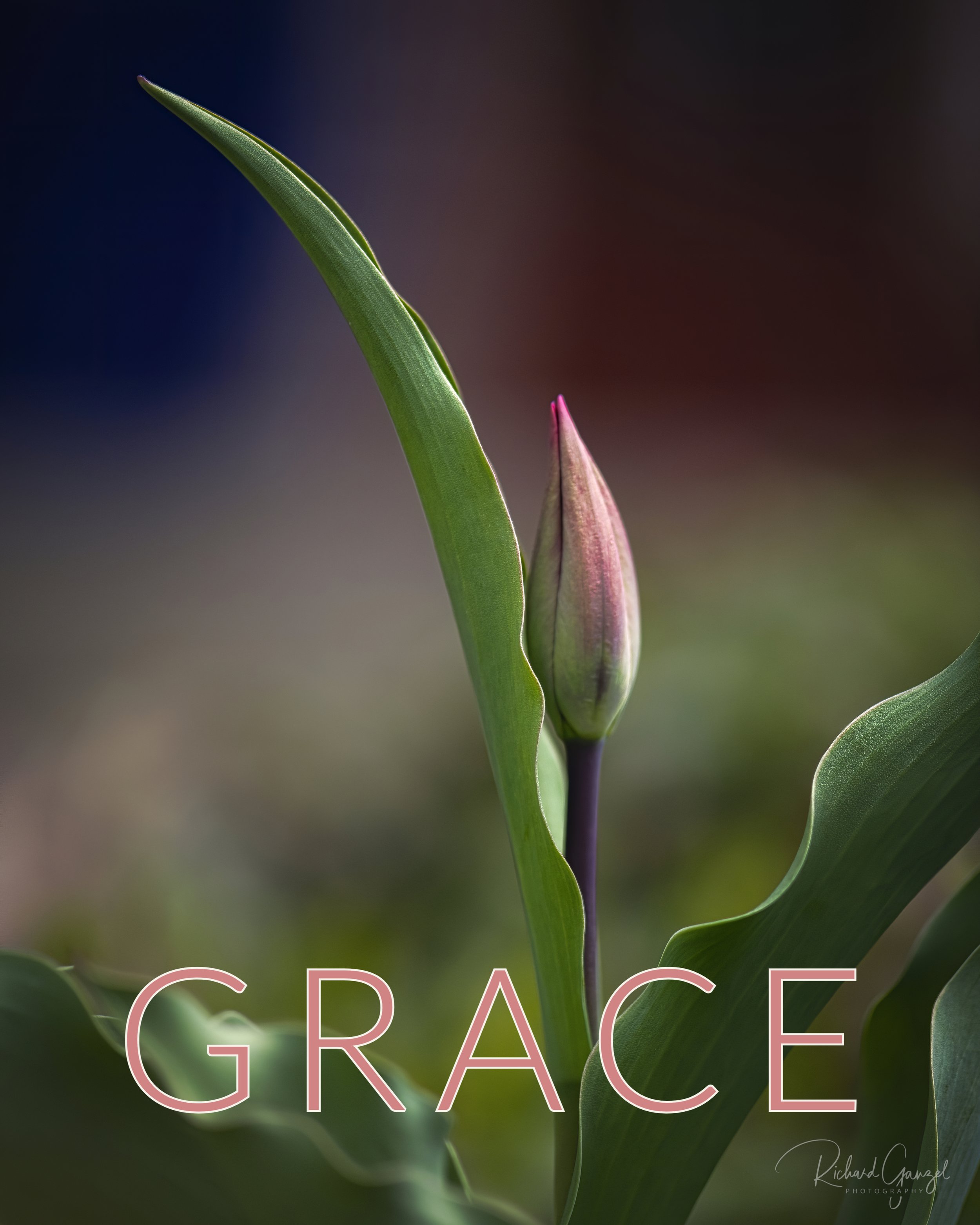 Grace