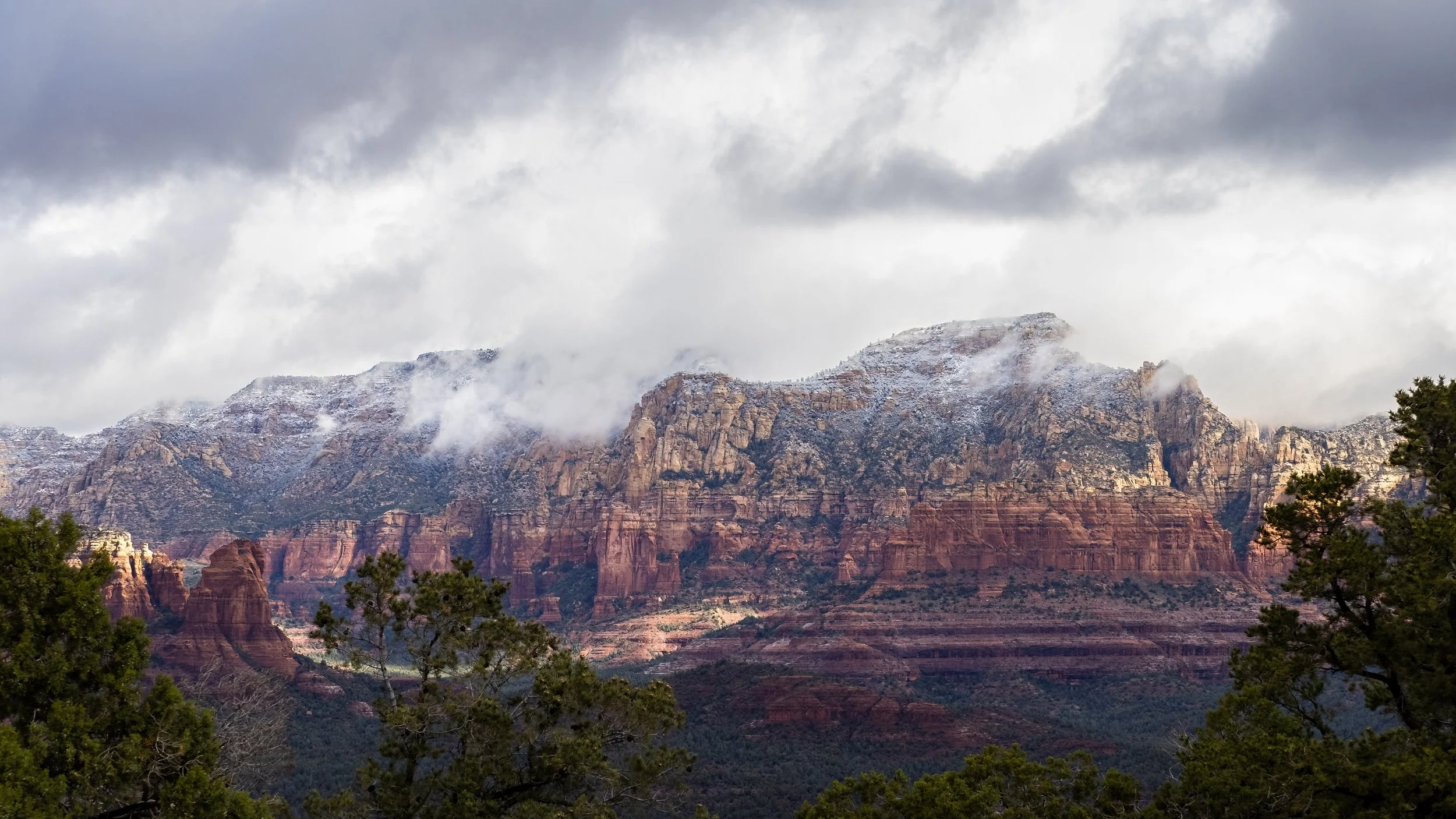 20230324-P3240346-Edit.jpg