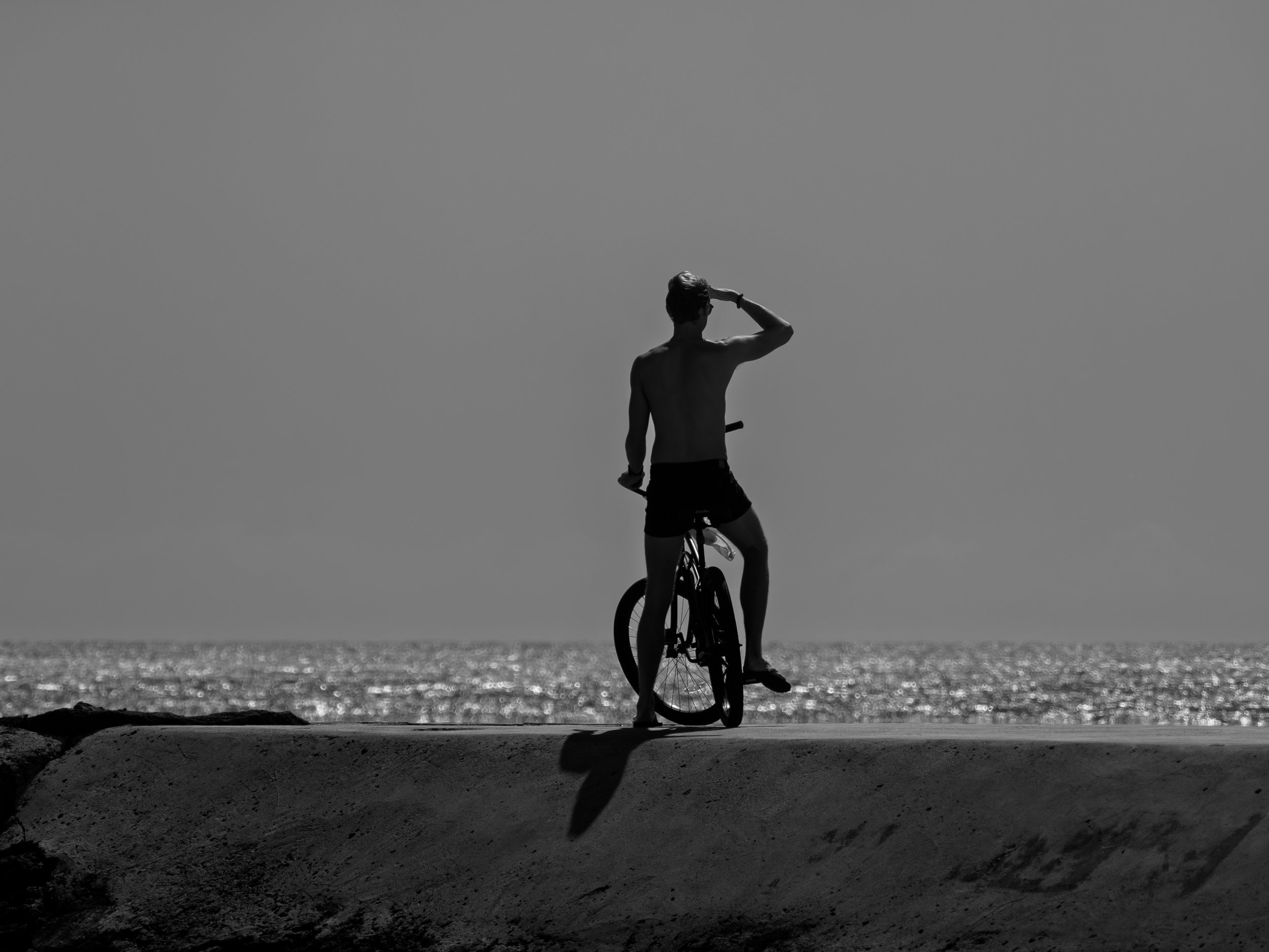 20200203-P2030225.jpg