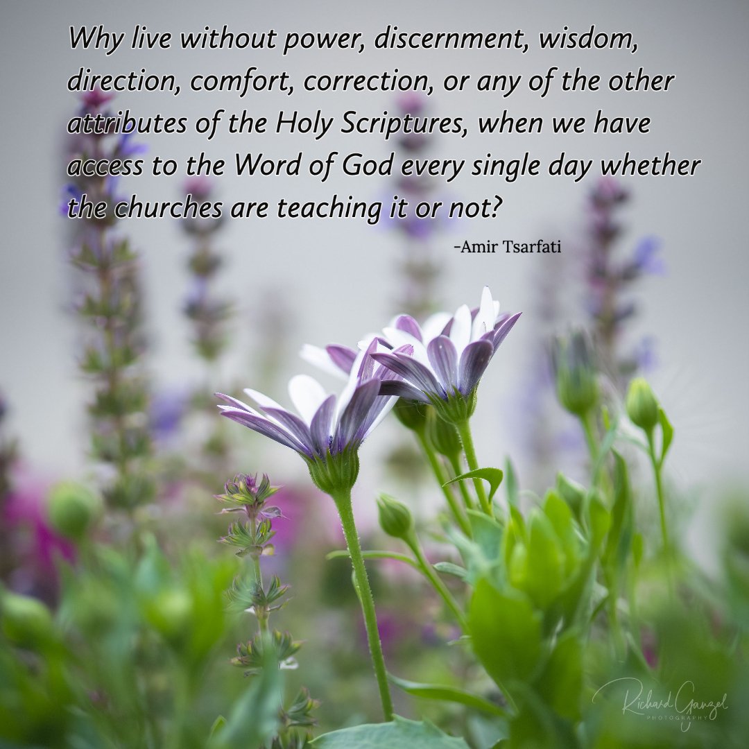 Attributes Of God's Word