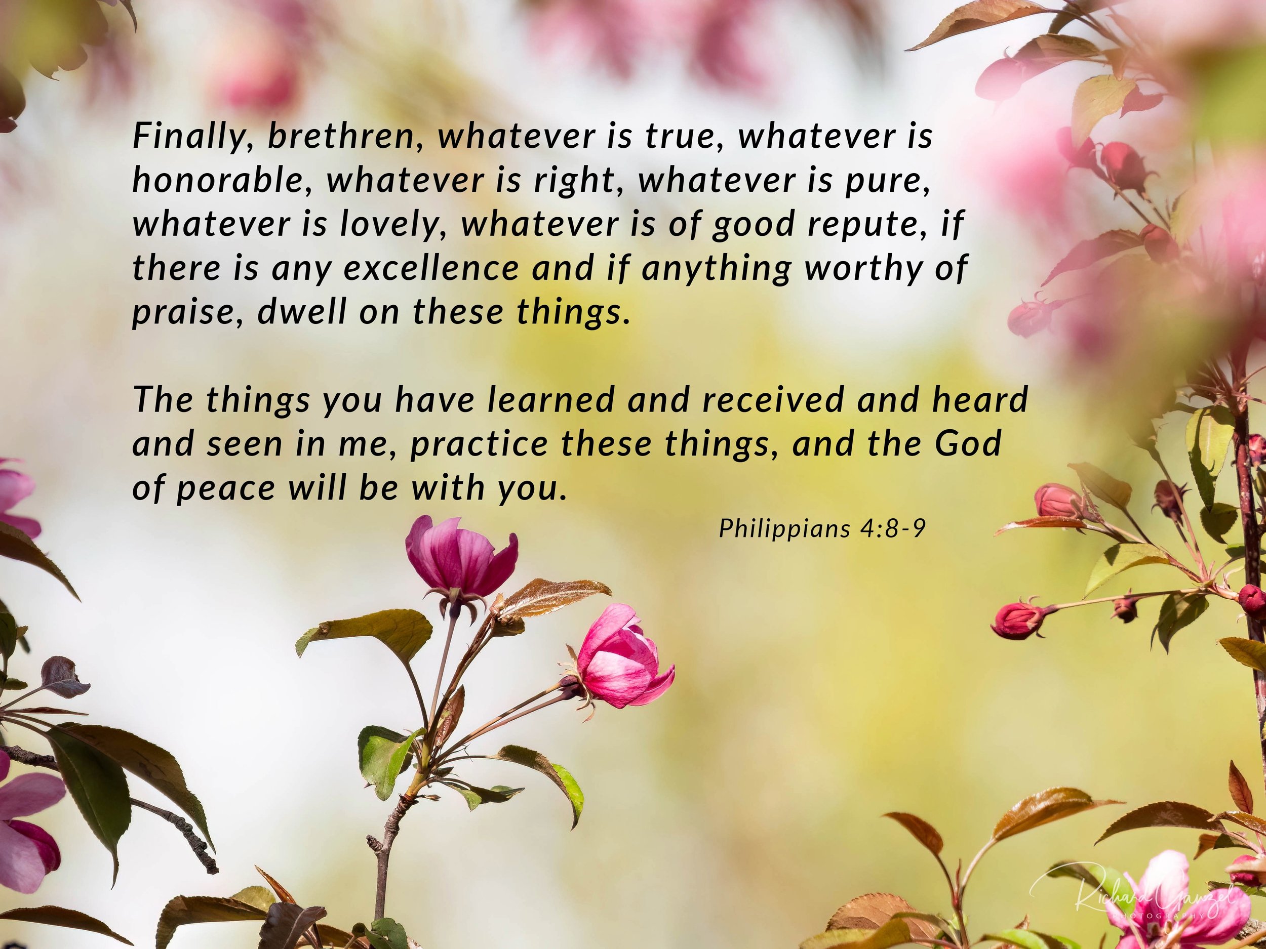 Whatever is pure.jpeg