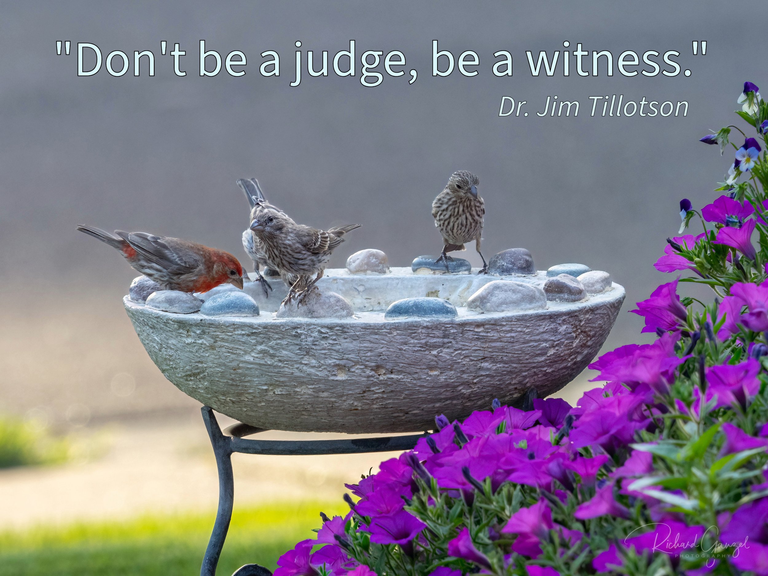 Dont be a Judge.jpeg