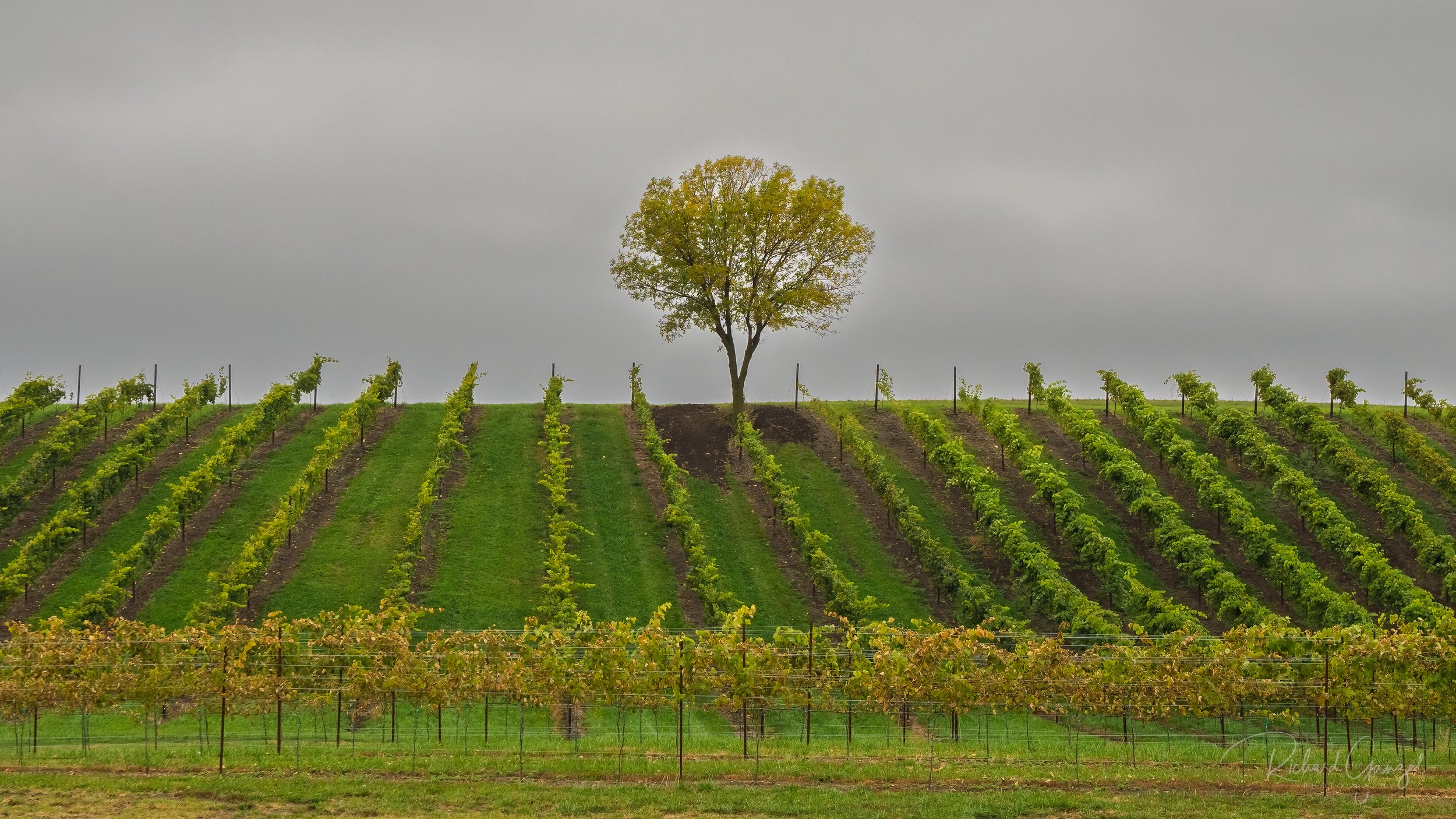 PA155993-Edit.jpg