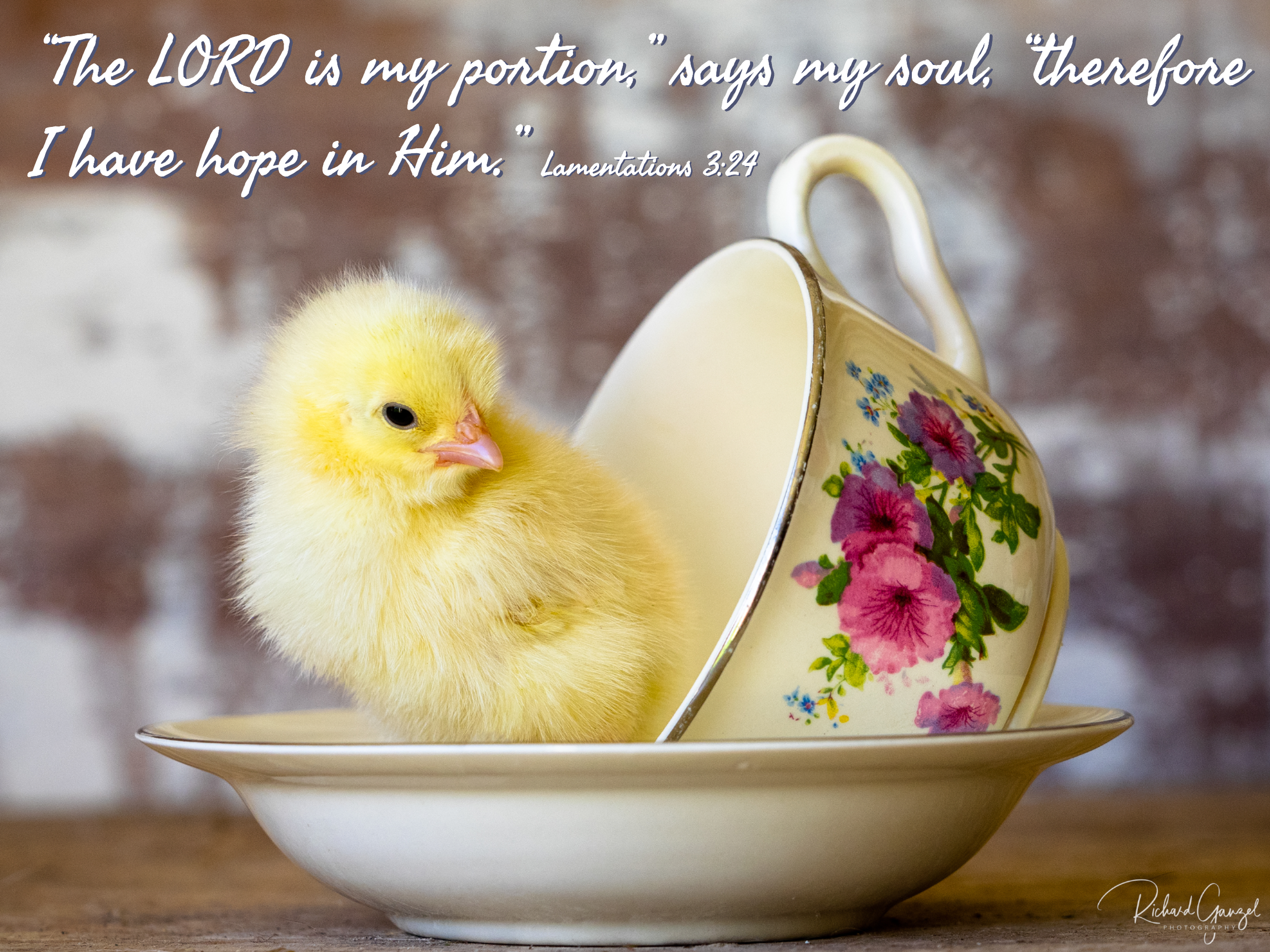 The Lord Is My Portion