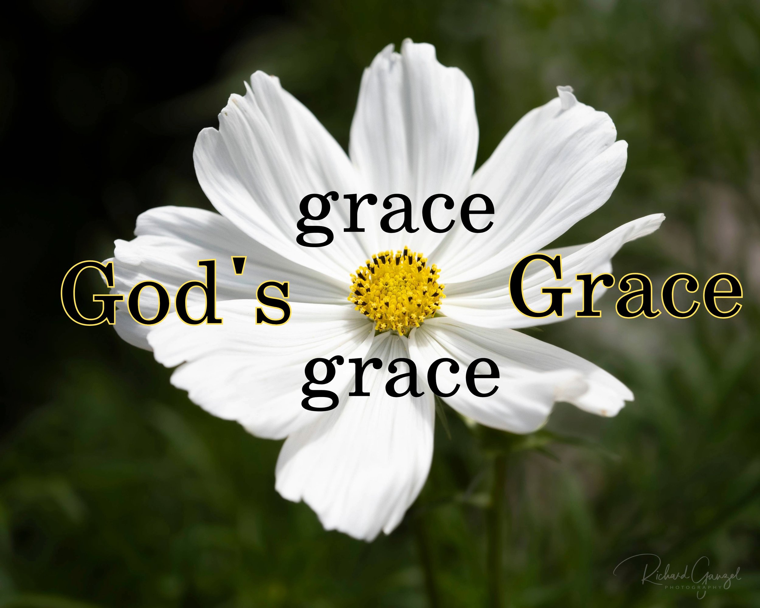 Grace Gods Grace.jpeg