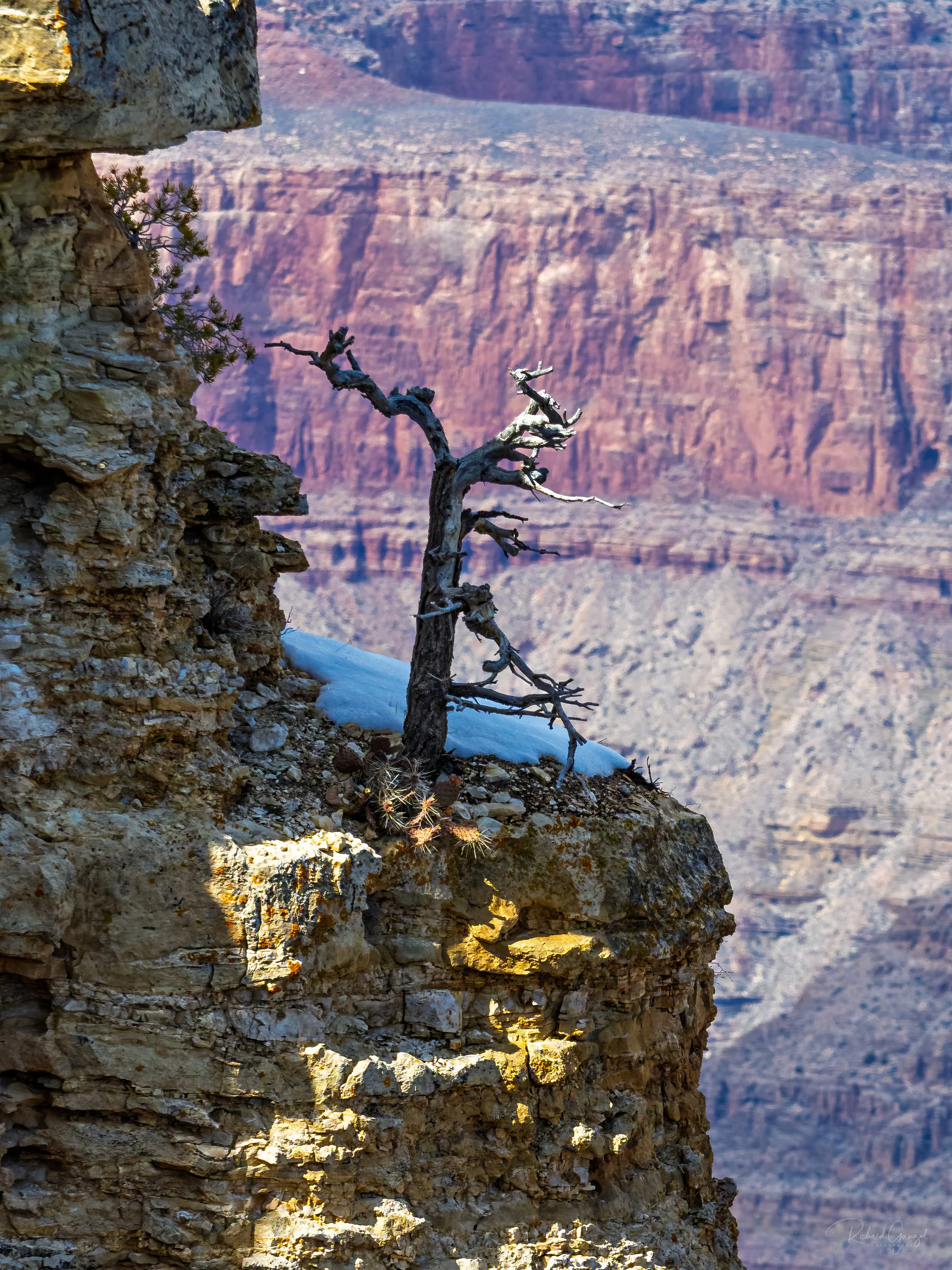 Grand Canyon #05