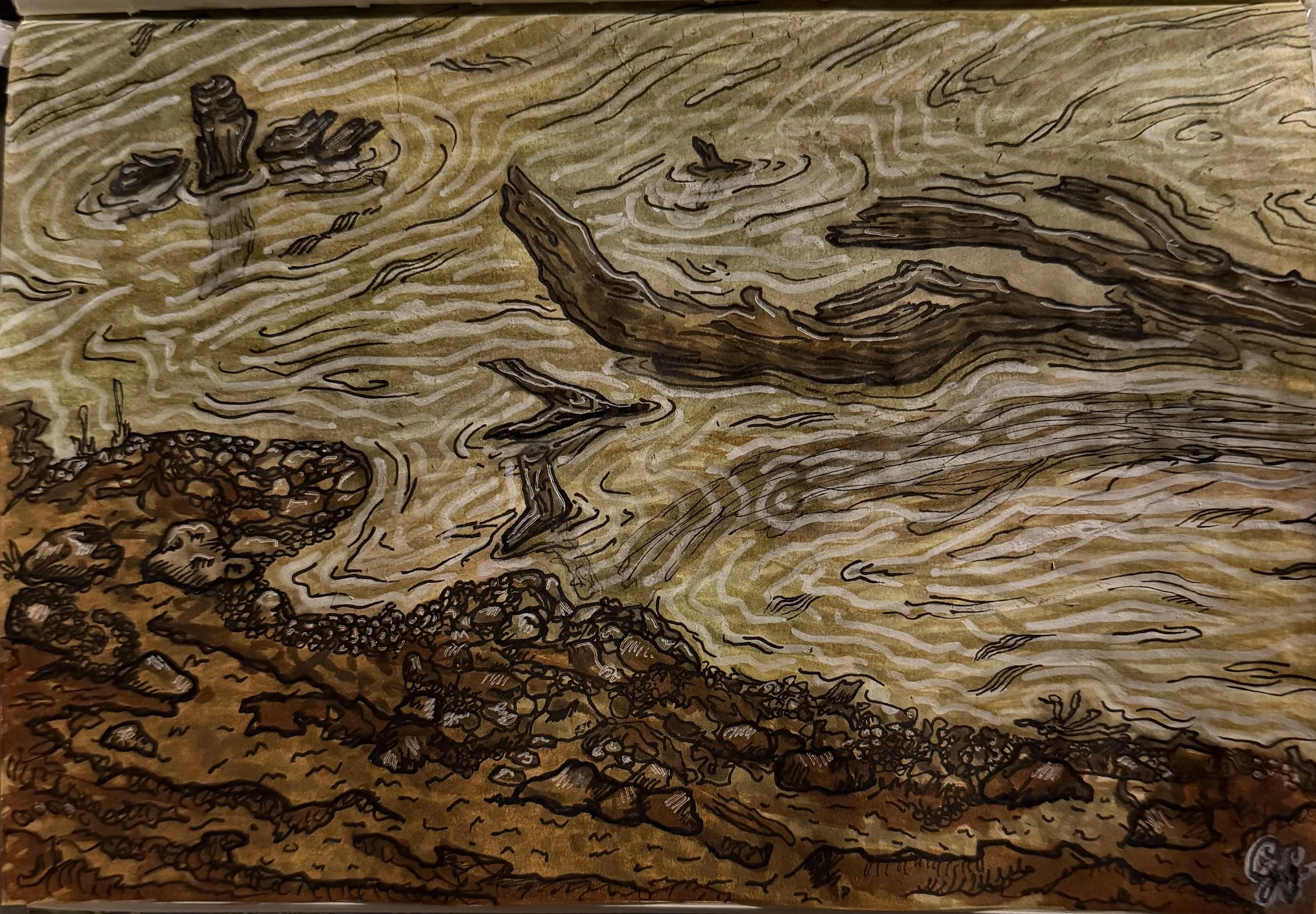 Driftwood - Ink on Paper by Goldie Snow