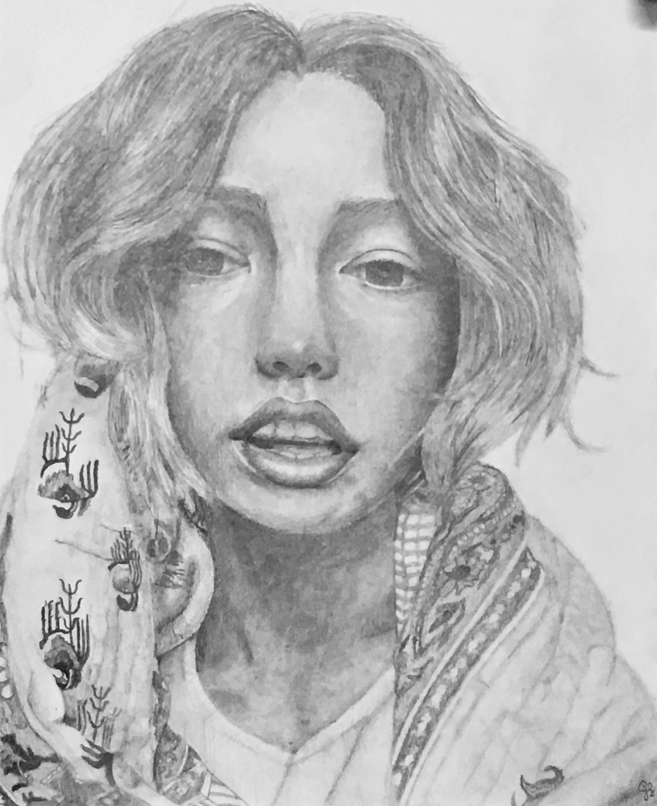 lazy day - graphite on paper by Goldie Snow