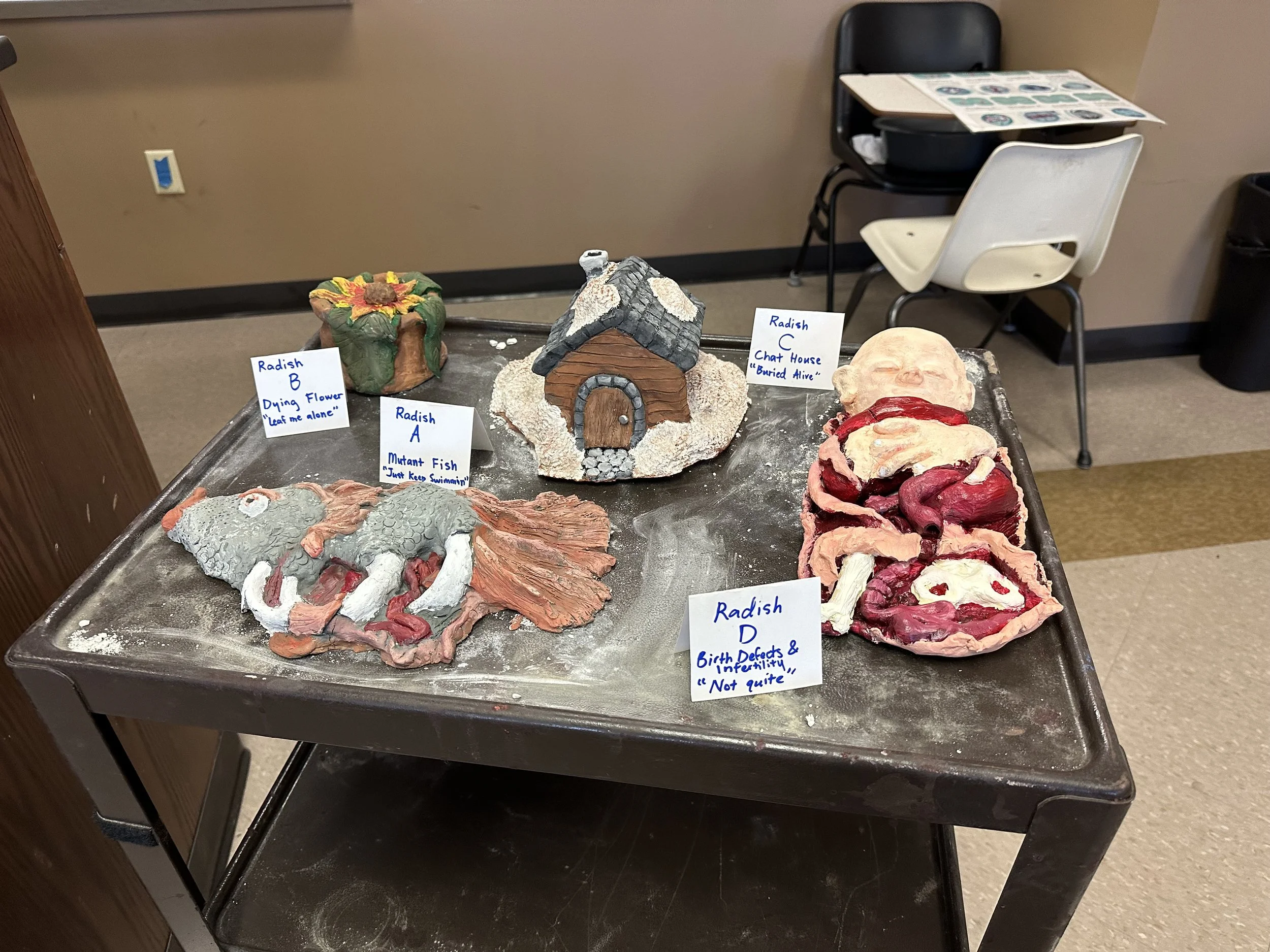Capsules of Picher Oklahoma, a series of a dying plant (top left), a house buried in chat piles (top middle), birth defects (right), and a mutant fish (bottom left). Clay sculptures with dead, contaminated (by Cadmium, Arsenic, Lead, and Zinc) Cherry