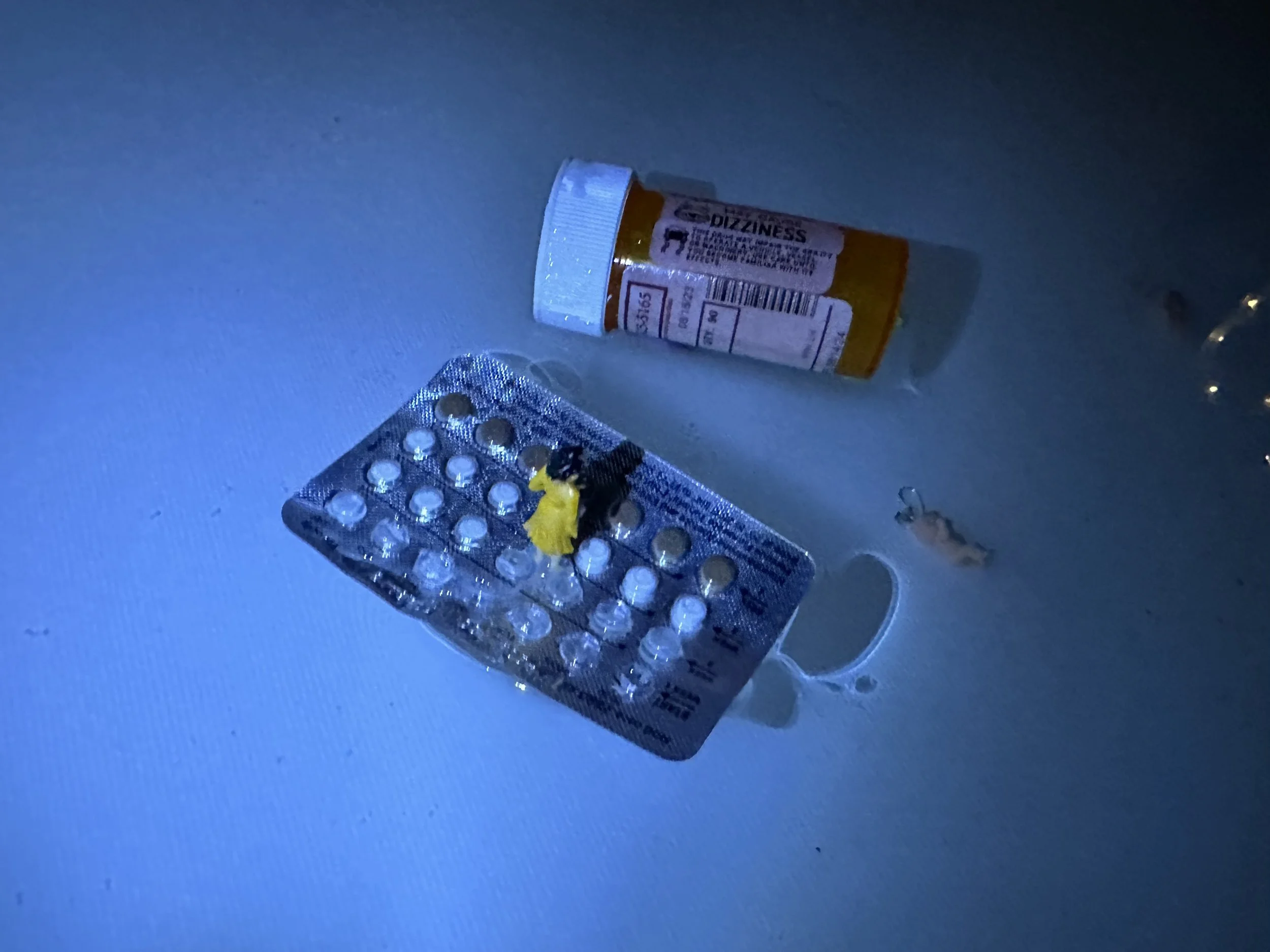 Meds ashore - Photo by Goldie Snow