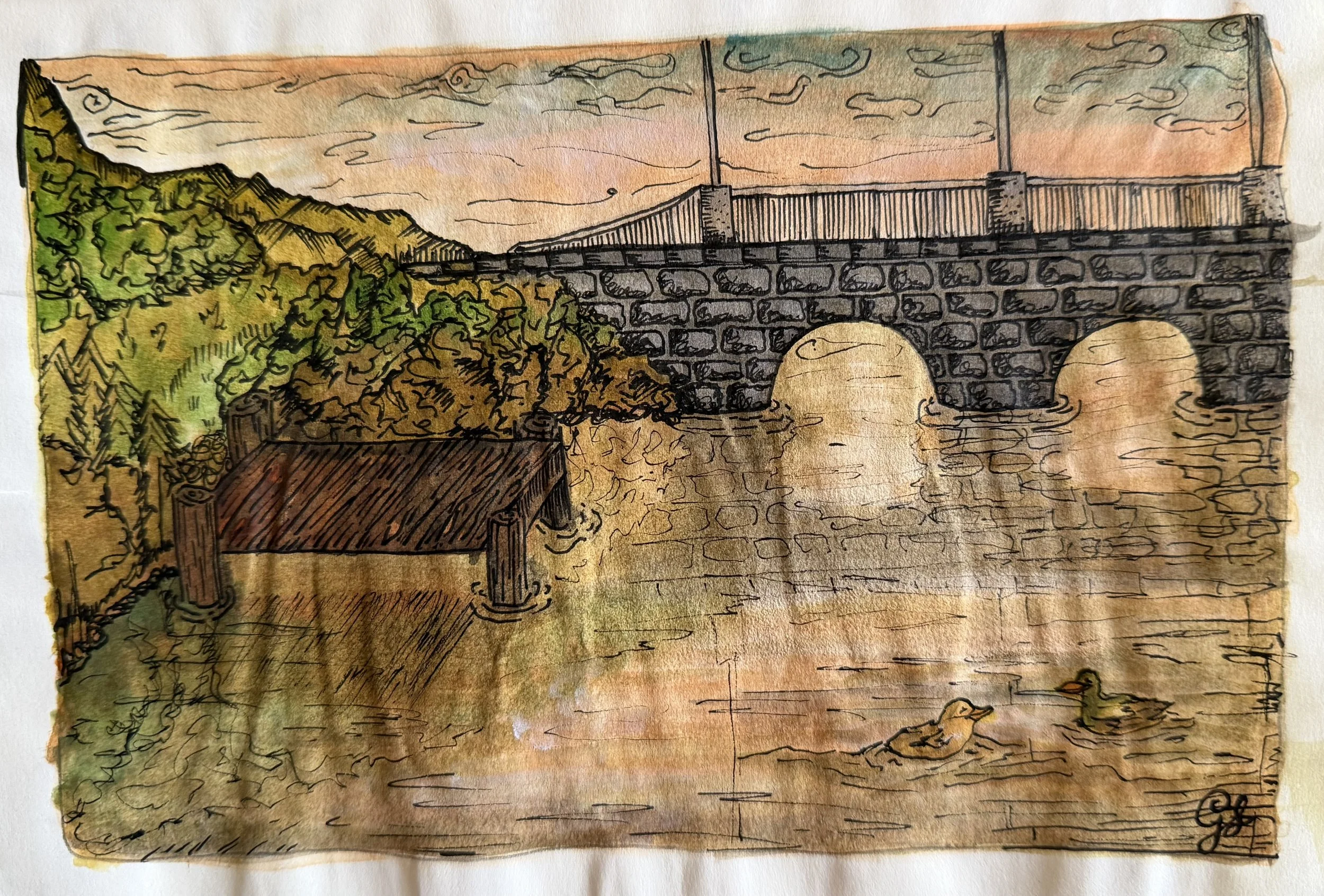 duckpond - inks on paper by Goldie Snow