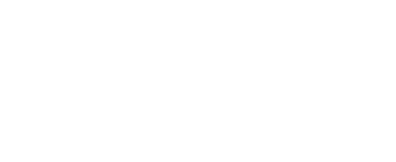 VEMO