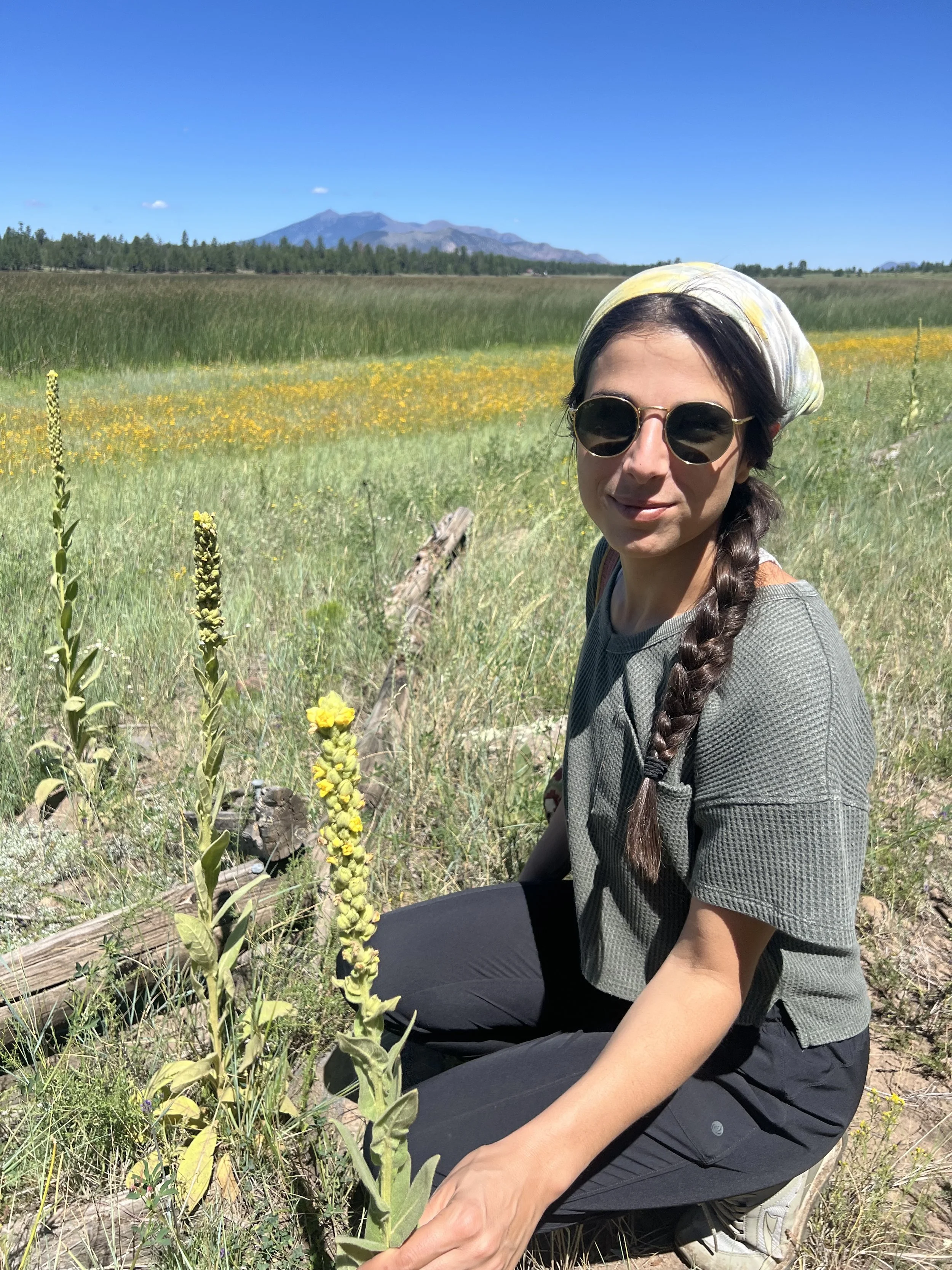 Woman with long braided hair, sunglasses, and a headscarf kneeling on the grass in a field with yellow flowers, with mountains and a clear blue sky in the background.