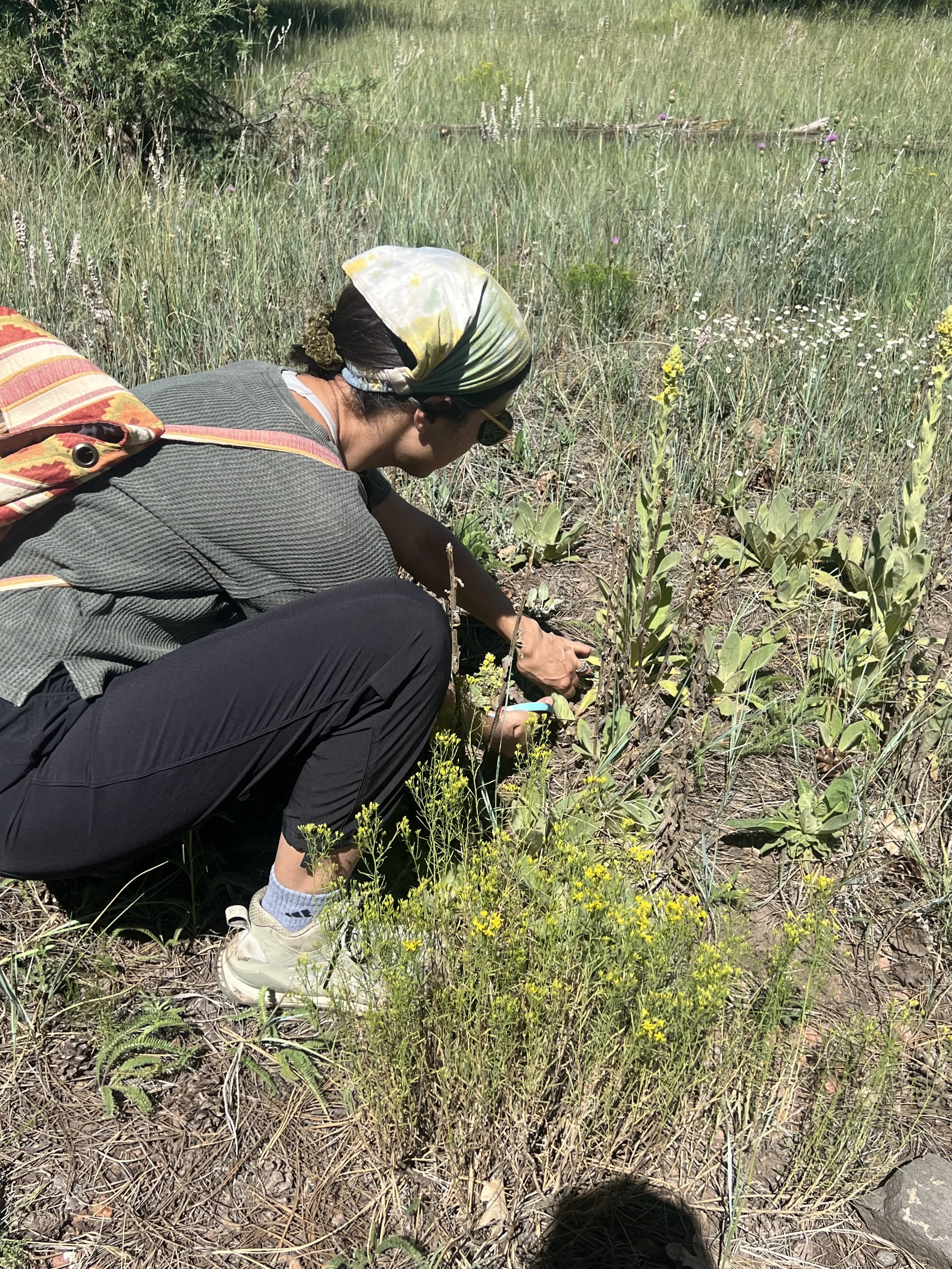 Person crouching in a grassy field with wildflowers, wearing sunglasses, a headscarf, a gray top, black pants, and white sneakers, holding a small plant or object.