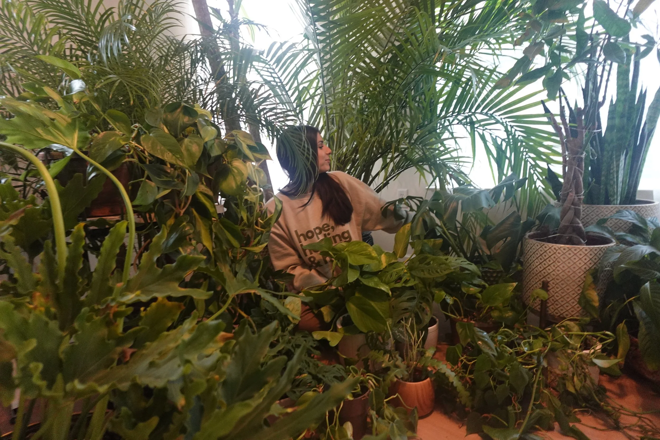 A woman sitting among numerous large green potted plants indoors.