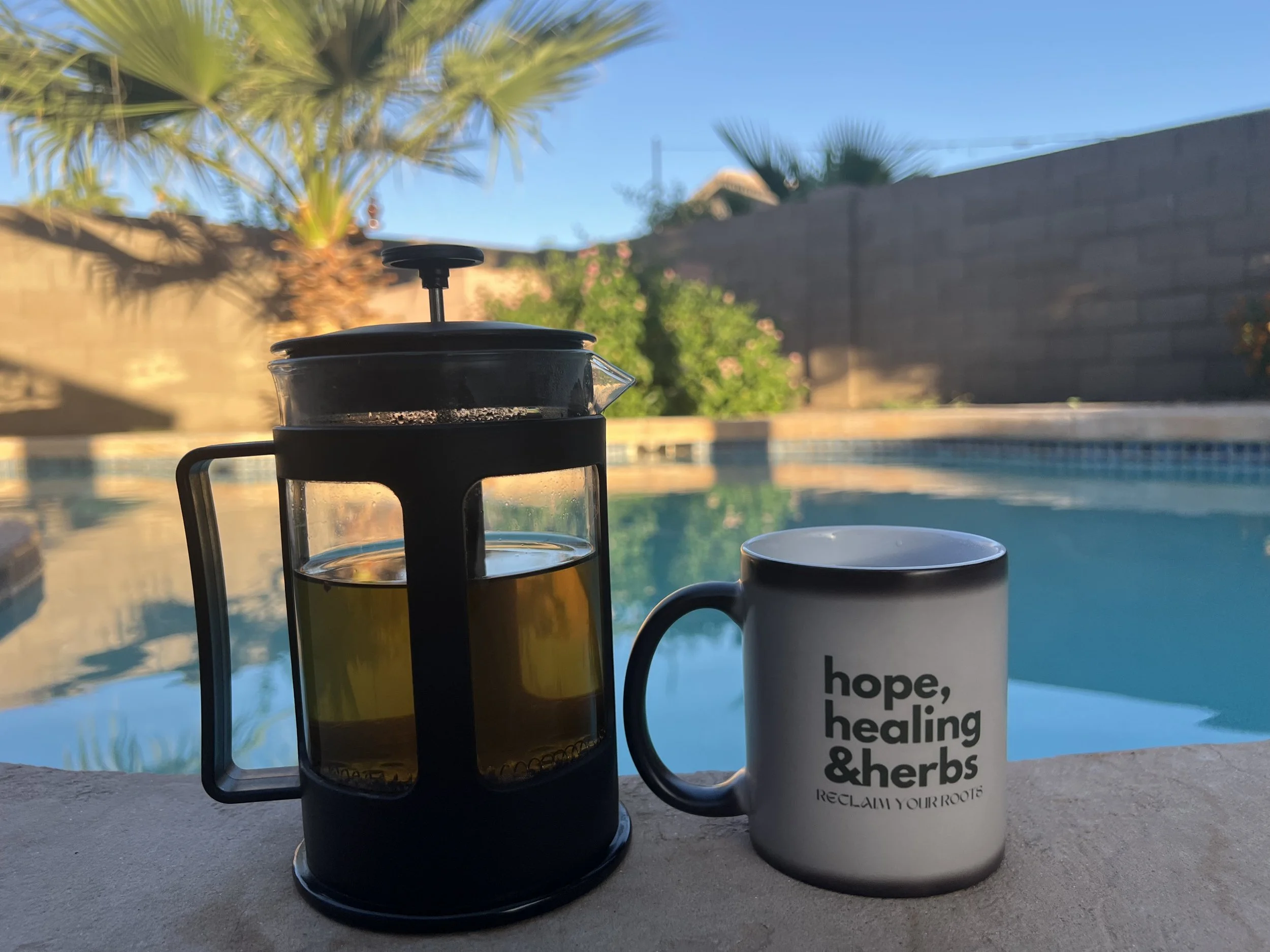 French Press- Tea Steeper