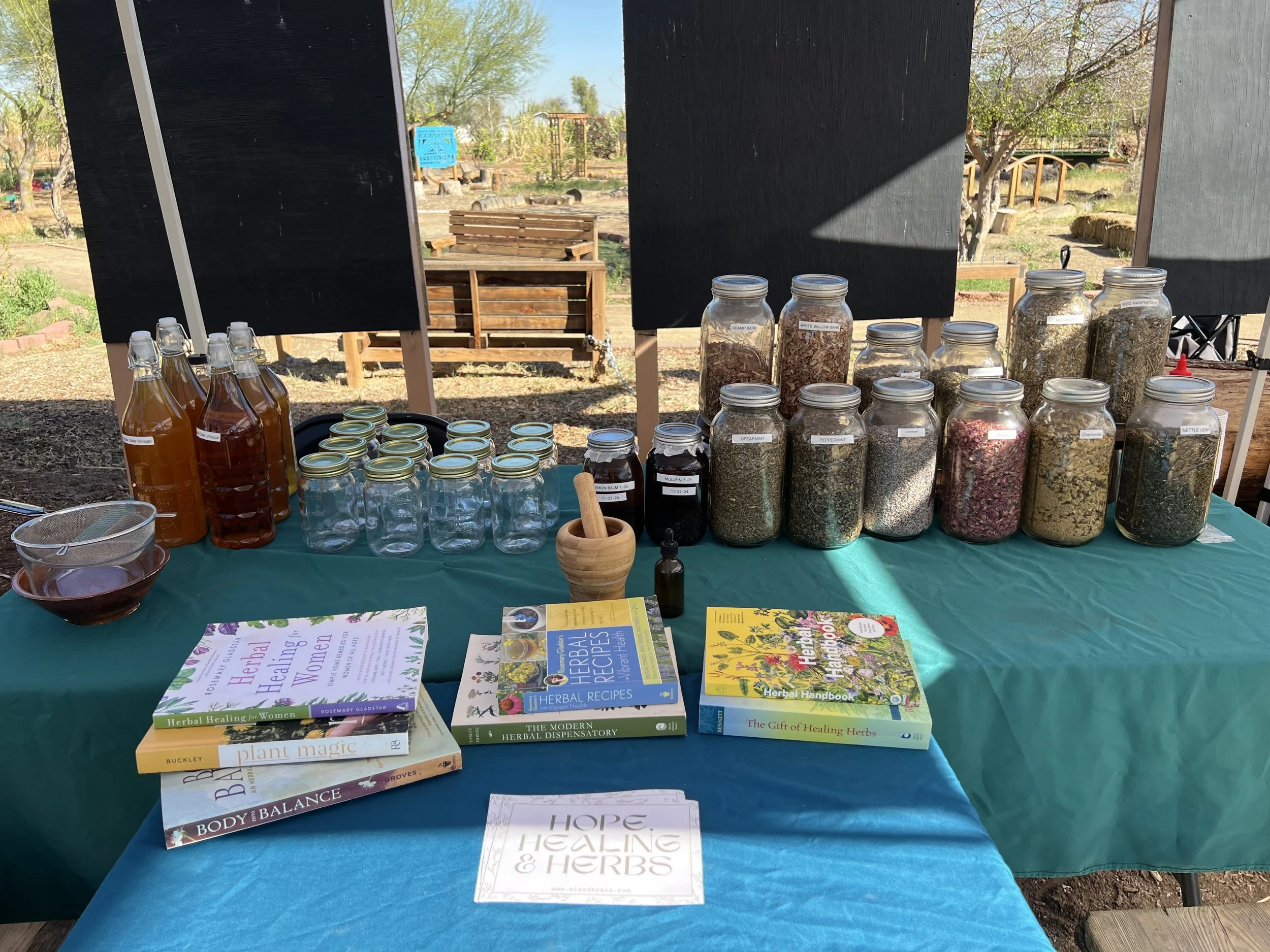 Outdoor herbal remedies booth with jars of dried herbs, herbal books, and bottles of herbal extracts on a green tablecloth.