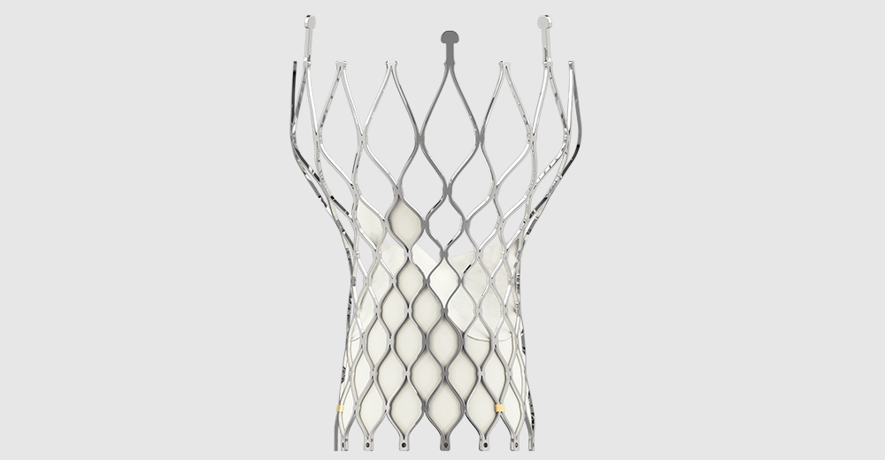 Valvula Aortica VenusA-Pro de Venus Medtech