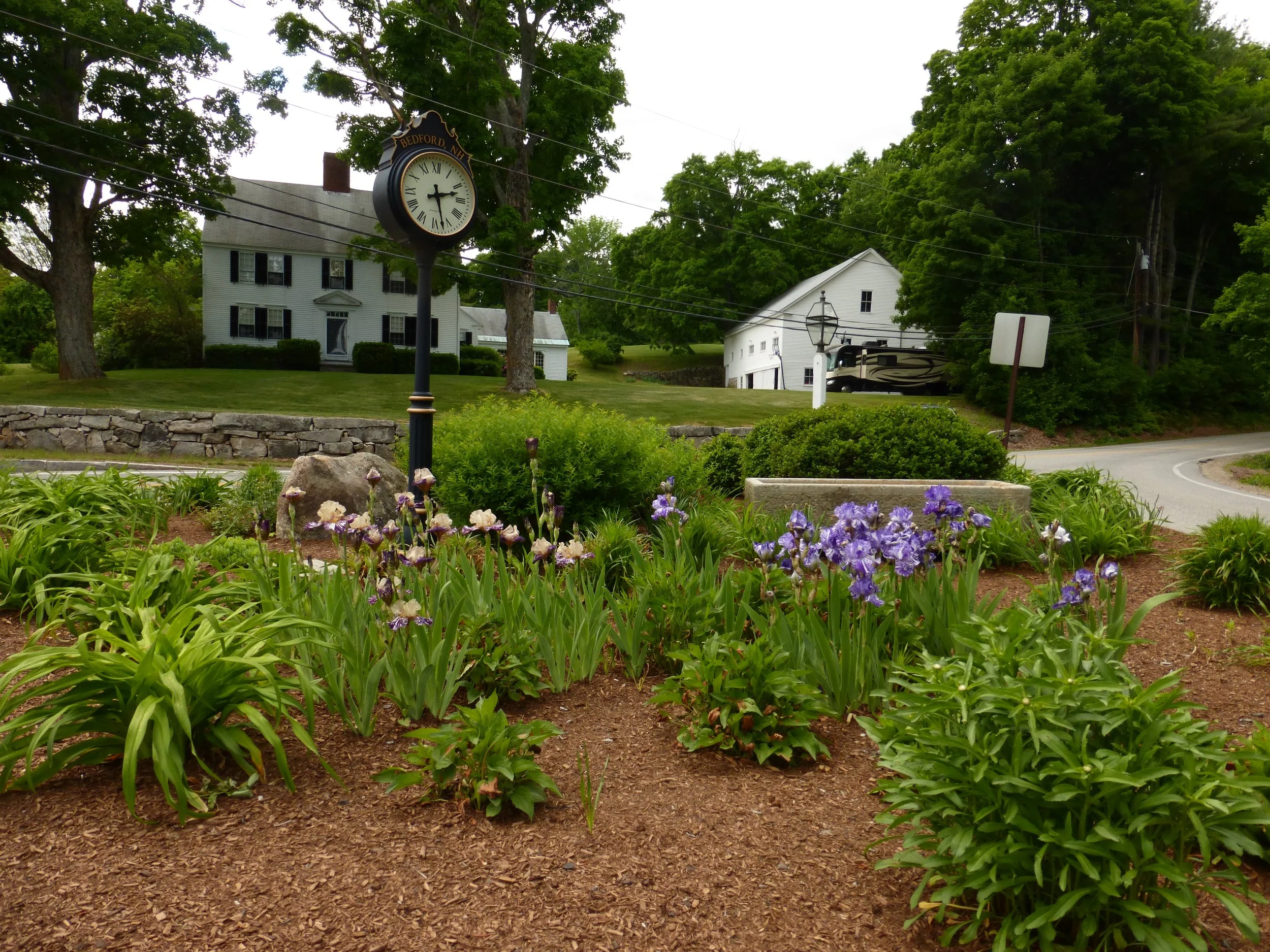 A garden with purple and white irises in the foreground, a black clock on a pole displaying the time, a stone wall, and a white house with black shutters in the background surrounded by trees.
