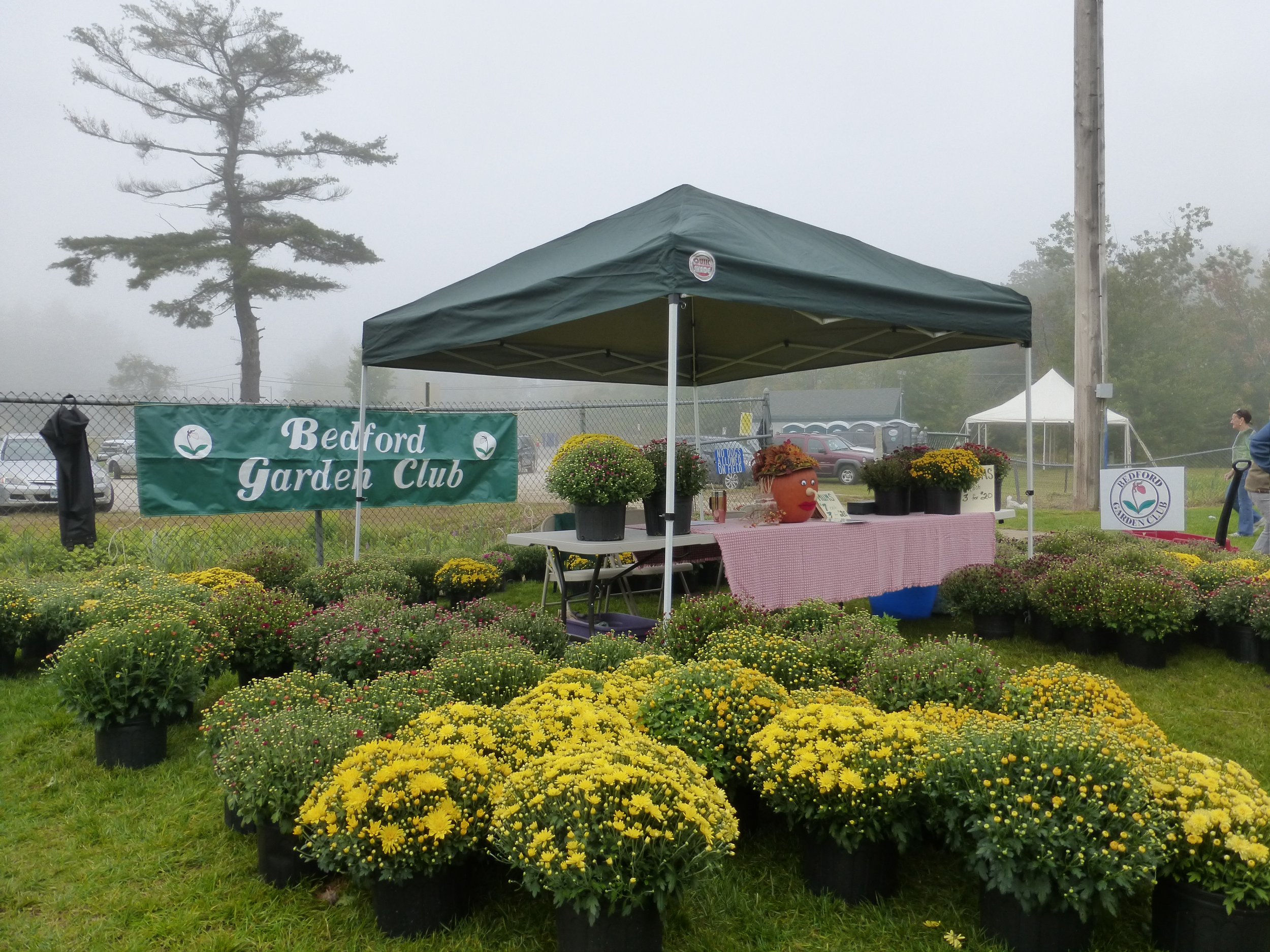Outdoor floral display at Bedford Garden Club booth with potted chrysanthemums, a clown figure, and a green banner.
