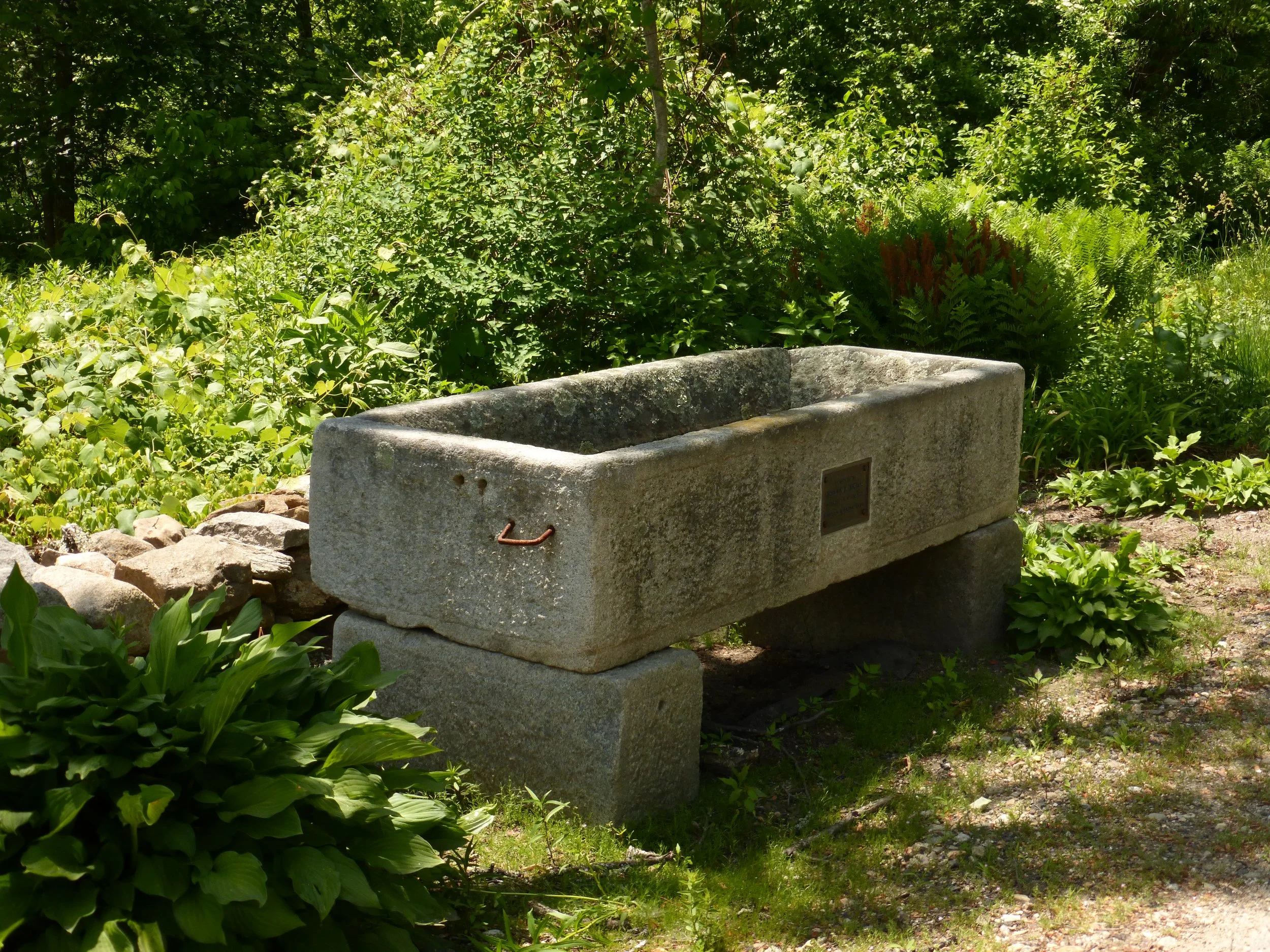 A stone water trough in a garden surrounded by green plants and bushes.