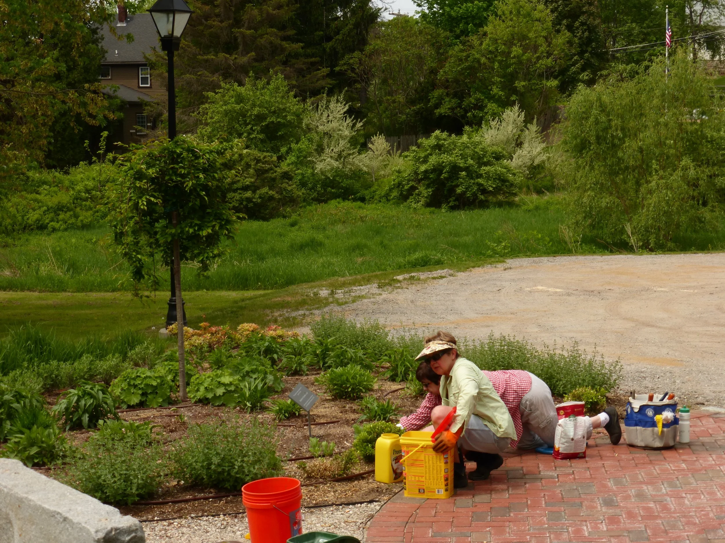 Two women gardening in a landscaped outdoor area with plants, trees, and a lamp post, near a brick patio.